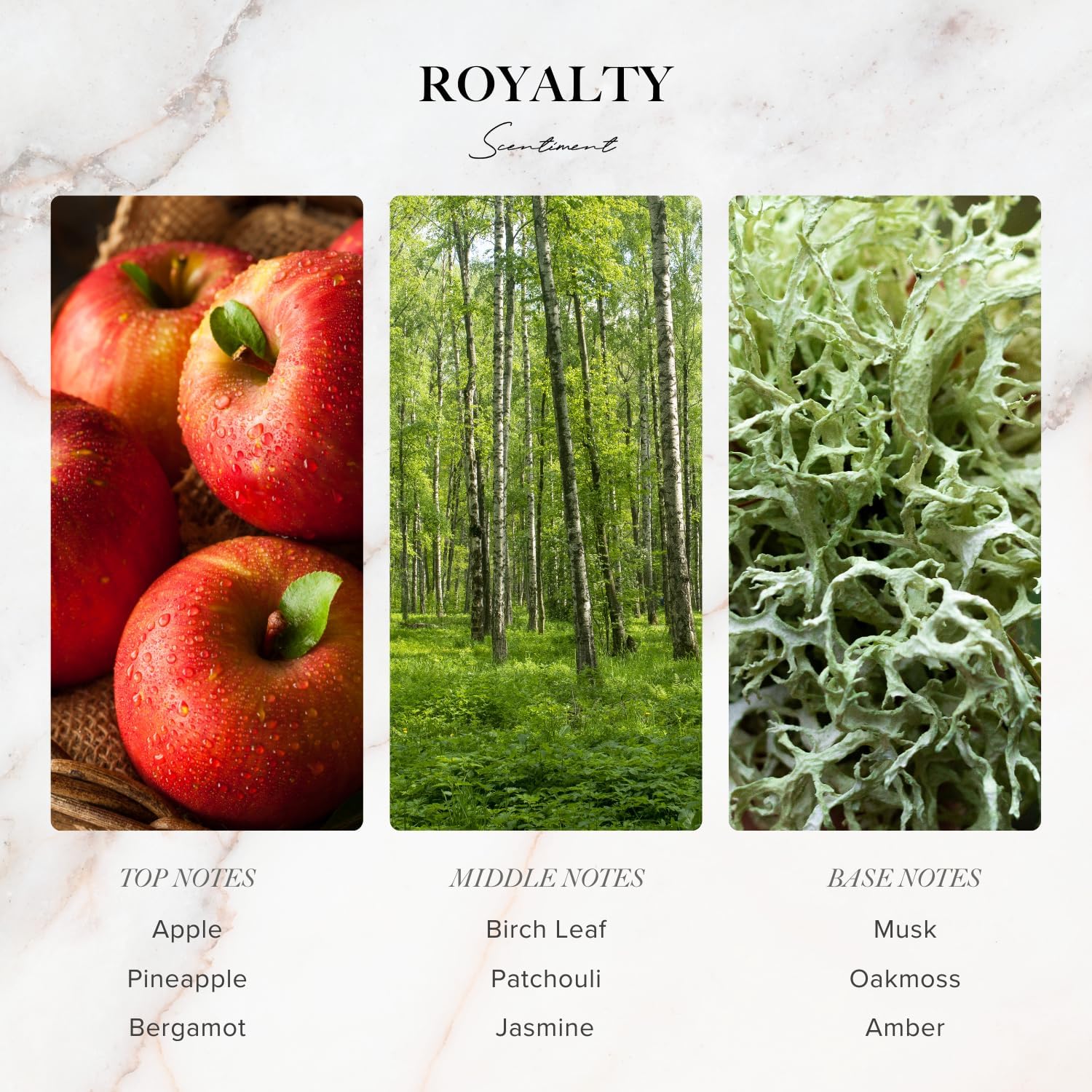 Scentiment Royalty Diffuser Oil - Premium Hotel Scent with Notes of Musk, Oakmoss, Amber, & Vanilla Home Scent, Aromatherapy Fragrance Oil Diffuser Refill - 1.69 fl oz (50 mL)