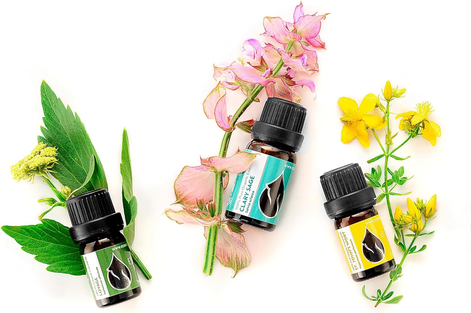 Essences Bulgaria Organic St. John's Wort Essential Oil 1/6 Fl Oz | 5ml | Hypericum perforatum | 100% Pure and Natural | Undiluted | Therapeutic Grade | Family Owned Farm | Steam-Distilled | Non-GMO