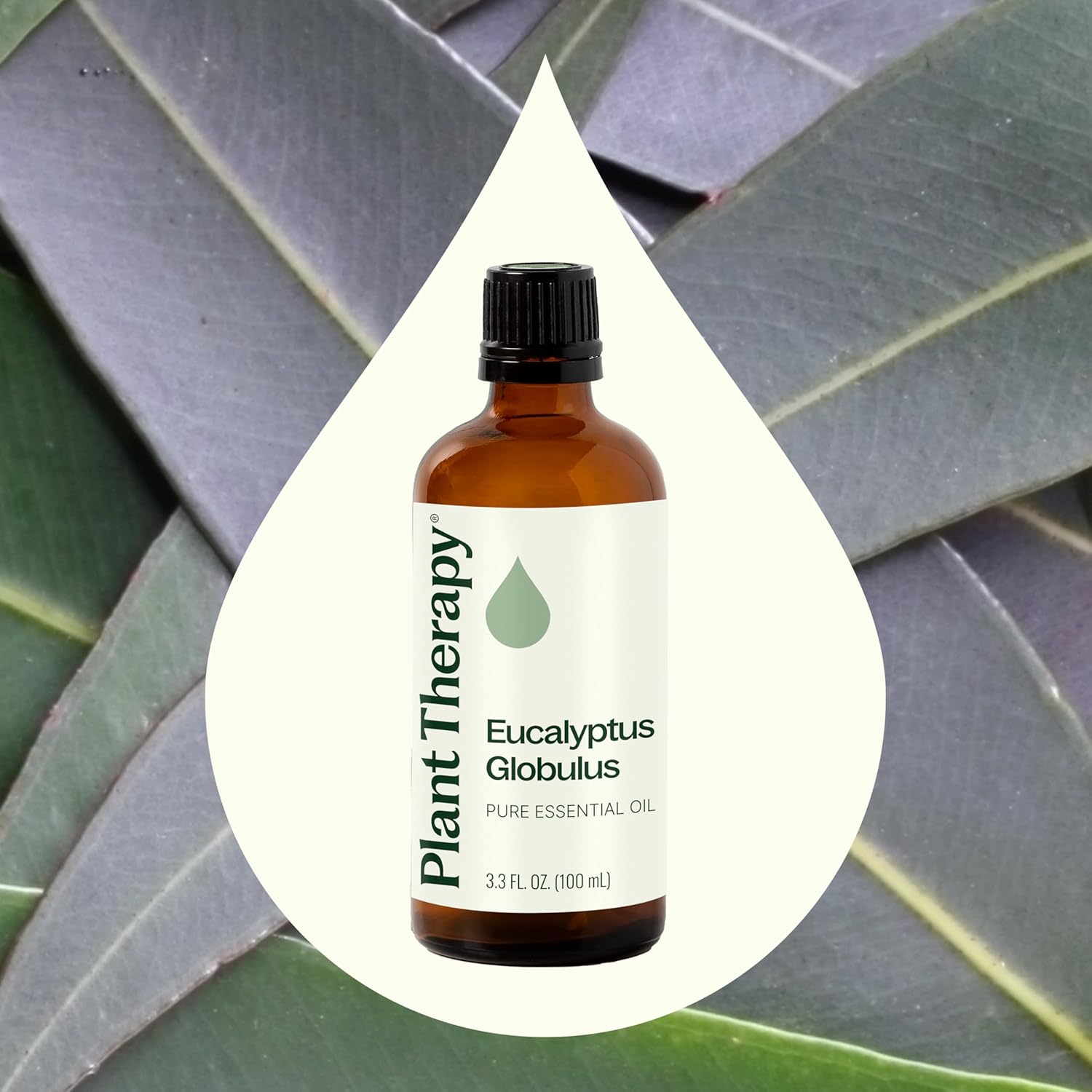 Plant Therapy Eucalyptus Globulus Essential Oil, 100 mL (3.3 oz), for Diffuser, Skin, Hair, Aromatherapy DIYs, and Clear Breathing, 100% Pure and Undiluted