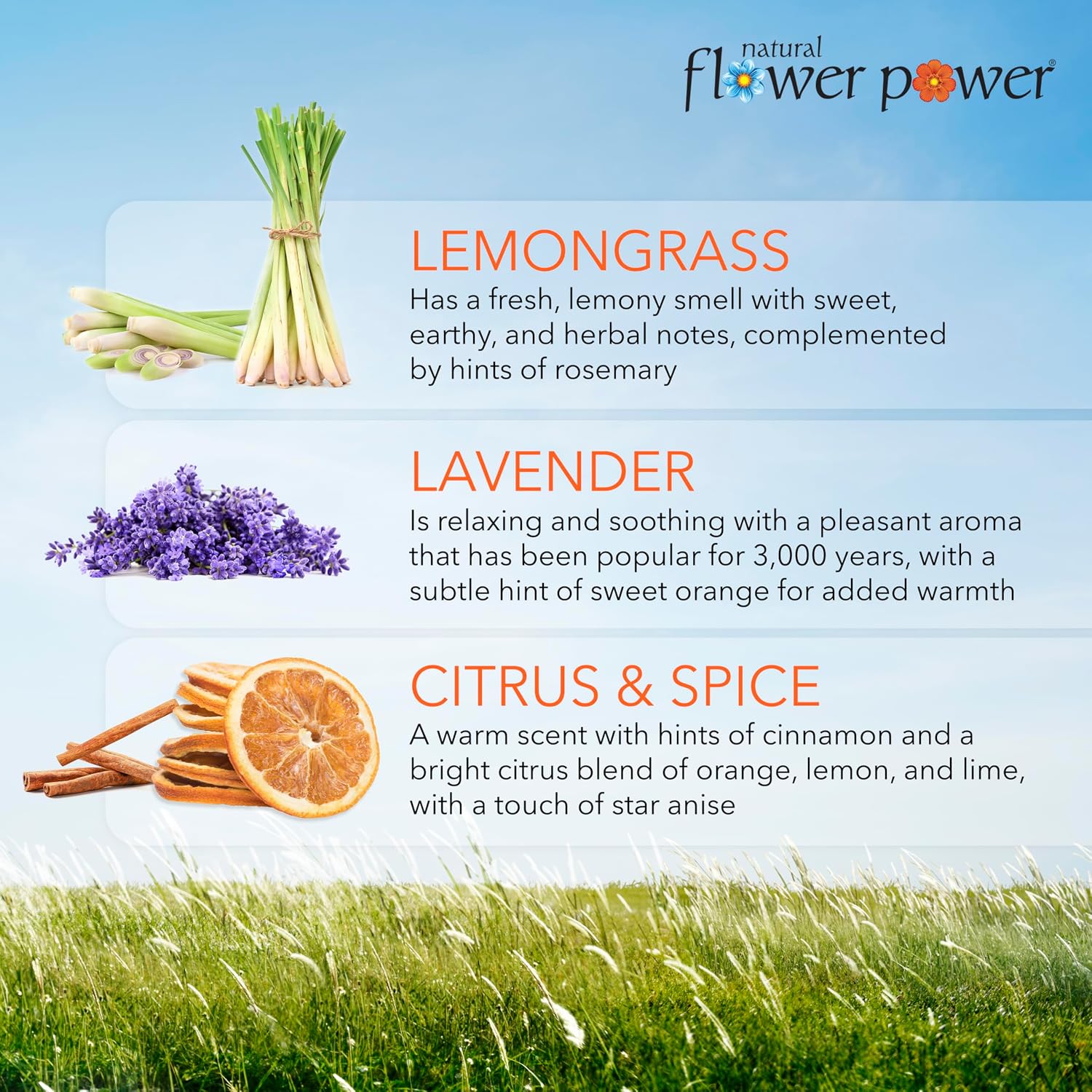 Natural Flower Power Air Freshener Spray - Odor Eliminator with Essential Oils for Home, Car & Fabric - Cruelty Free & Vegan - Variety Pack - Citrus & Spice + Lavender + Lemongrass - 3 x 4 fl oz