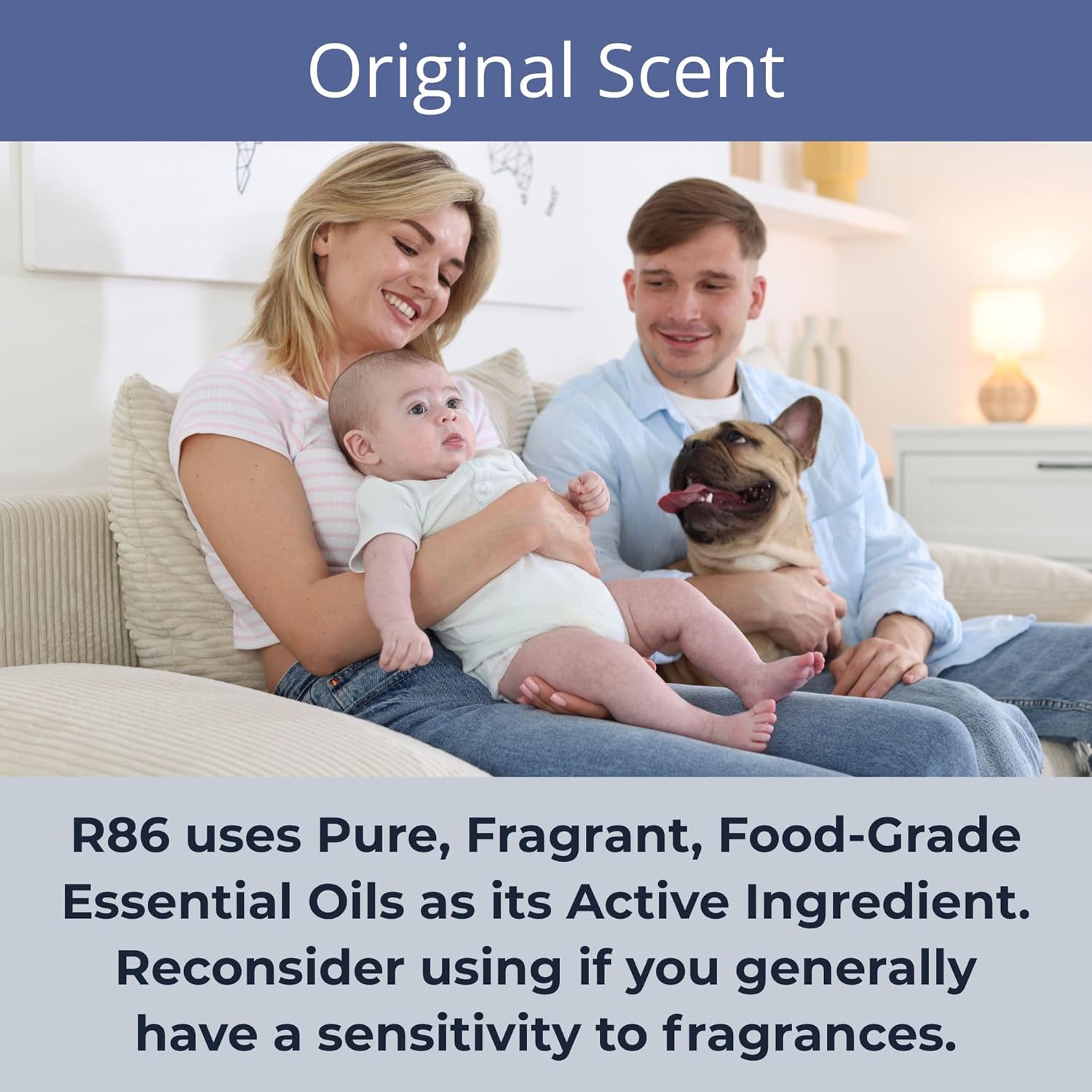R86 Industrial All-Out Odor Eliminator, Removes Dead Animal Odor, Skunk Odor, Urine, Poop, Musty Basement & More – Natural Formula, Use Wet or Dry, Biodegradable