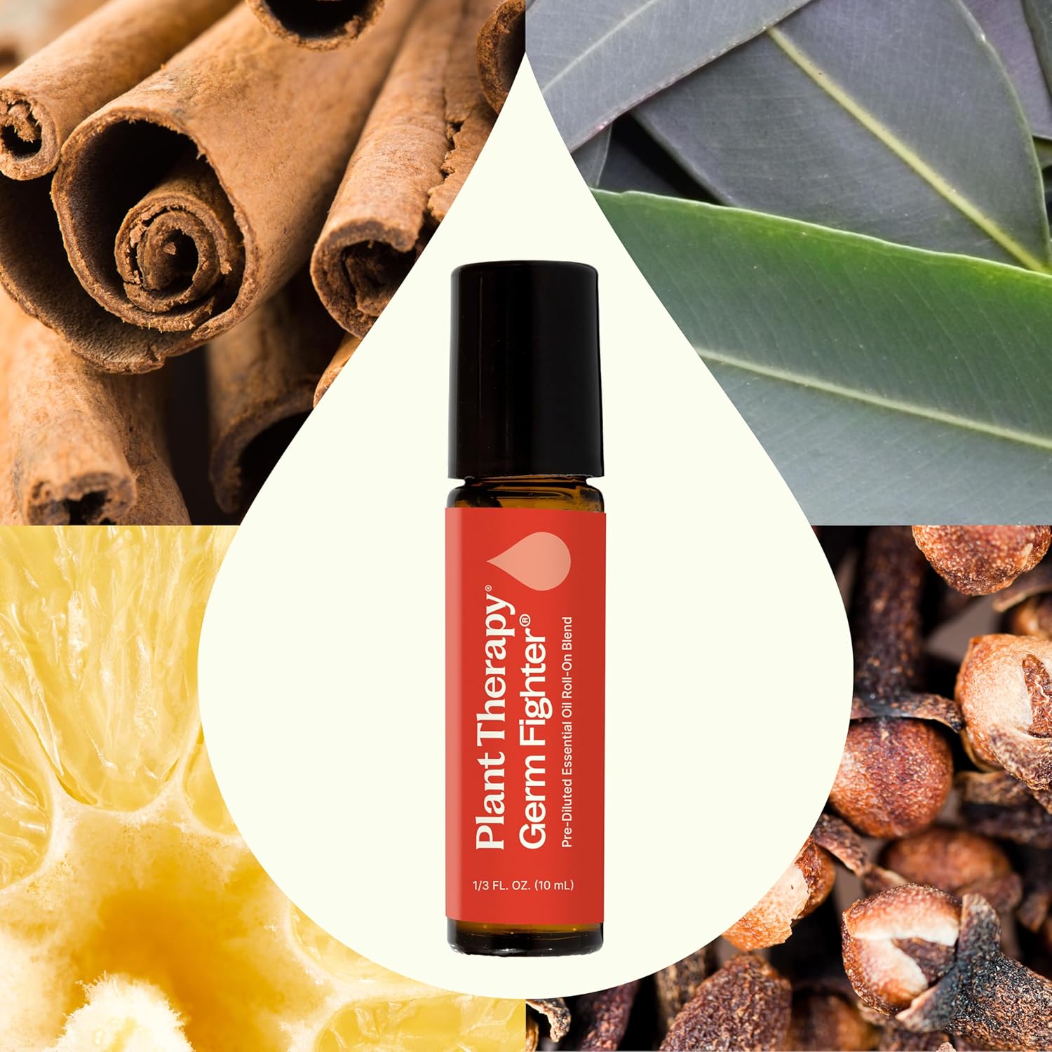 Plant Therapy Germ Fighter Essential Oil Blend 100% Pure, Pre-Diluted Roll-On, On-the-Go Natural Aromatherapy, Travel Size, Get Healthy Faster, Therapeutic Grade 10 mL (1/3 oz)