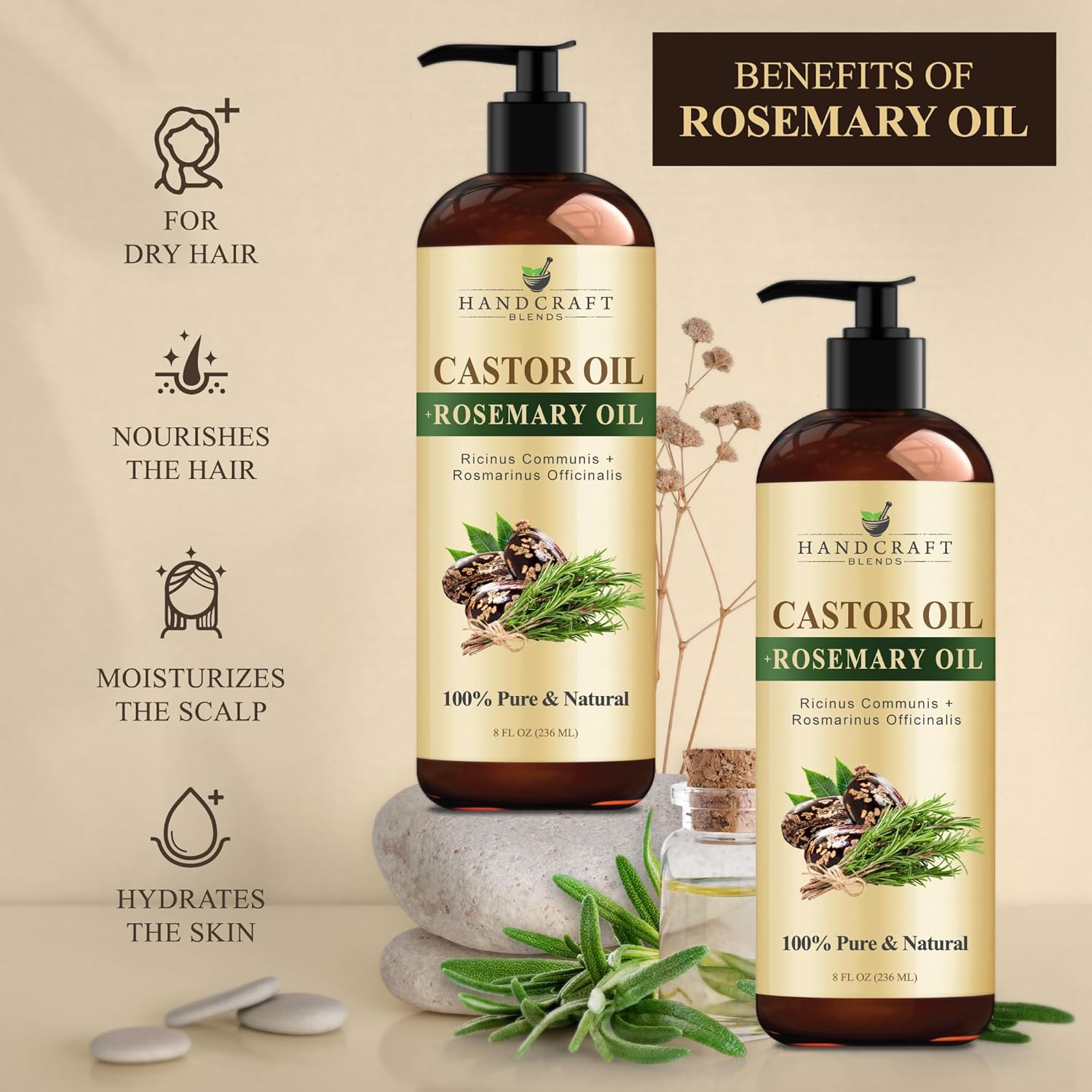 Handcraft Blends Castor Oil with Rosemary and Coconut Oils for Hair Growth, Eyelashes and Eyebrows - 100% Pure and Natural Hair, Body and Carrier Oil
