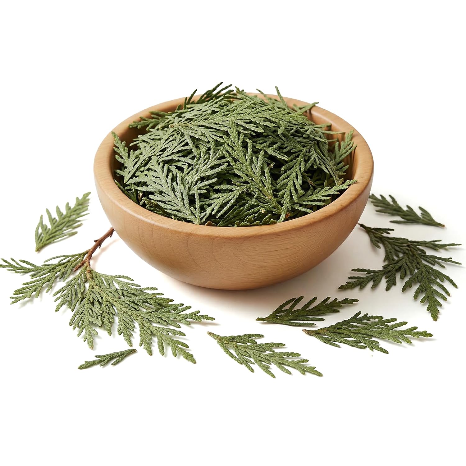NY Spice Shop Natural Cedar Leaf Whole - 2 Ounce Evergreen Leaves - Raw Aromatic Botanical - Thuja occidentalis - Cut & Dried Herb - Bulk Herbal Ingredient for Crafting Incense or Potpourri