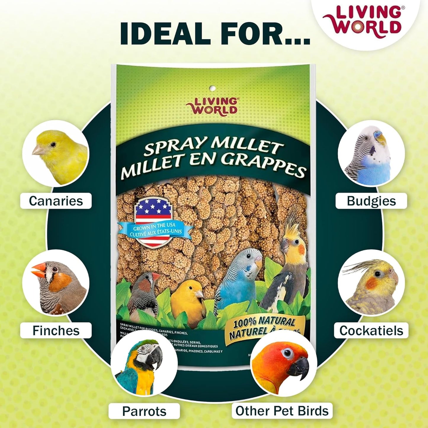 Living World – Millet Spray for Birds, 7 Oz – Premium Treat for Budgies, Canaries, Finches, Cockatiels and Other Pet Birds