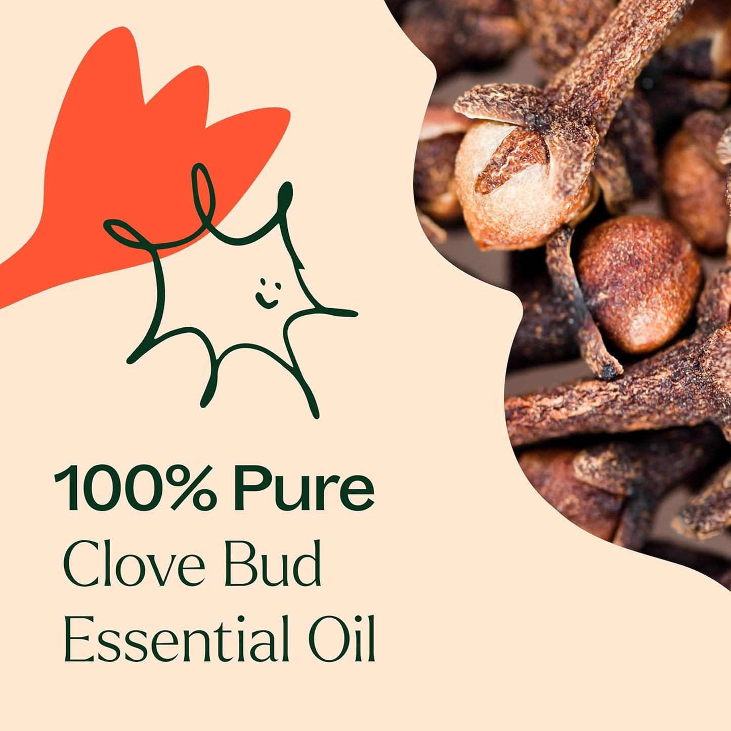 Plant Therapy Clove Bud Essential Oil 10 mL (1/3 oz), 100% Pure, Undiluted, Natural Aromatherapy, Immune Support, Sore Muscle & Joint Relief