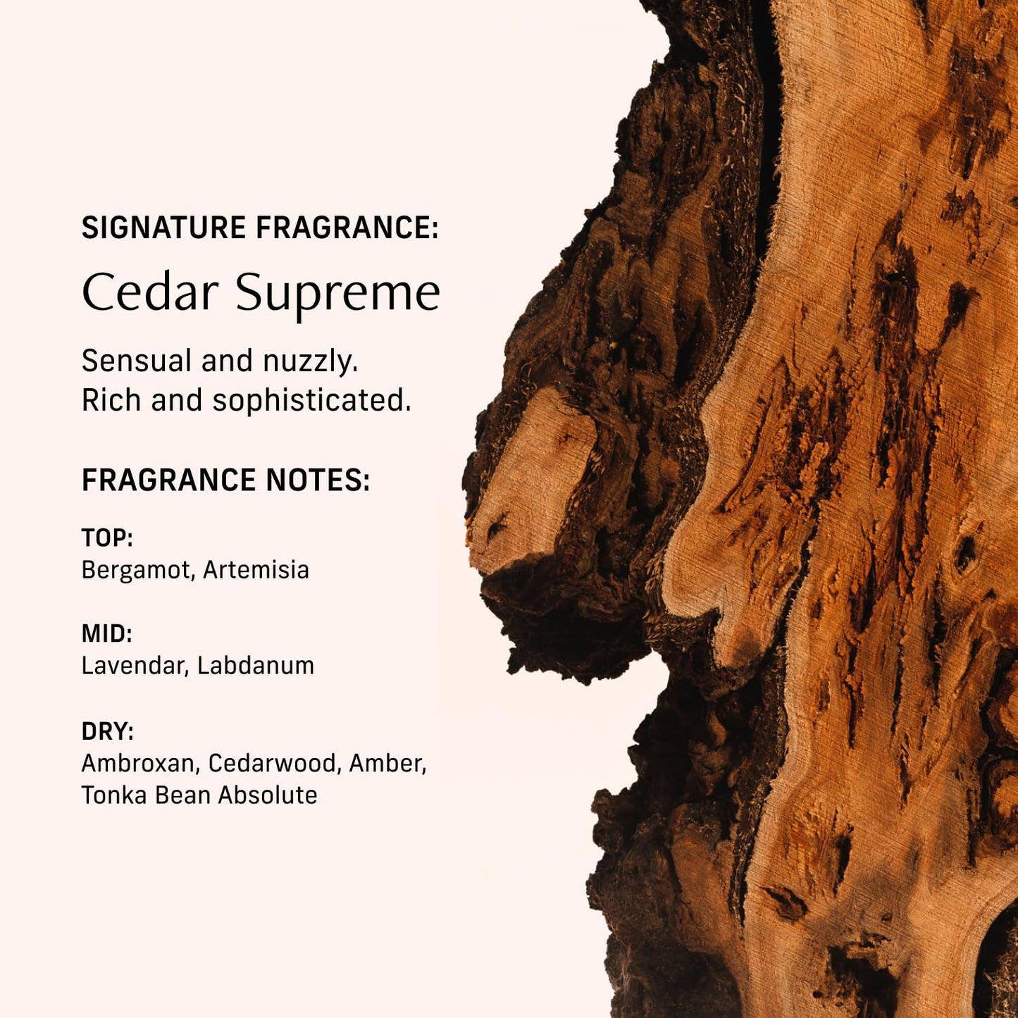 CYKLAR Perfume Oil for Skin – Cedar Supreme Scent – Crisp, Aromatic & Warm Perfume Fragrance with Bergamot, Lavender & Cedarwood Notes – Travel-Friendly 15ml