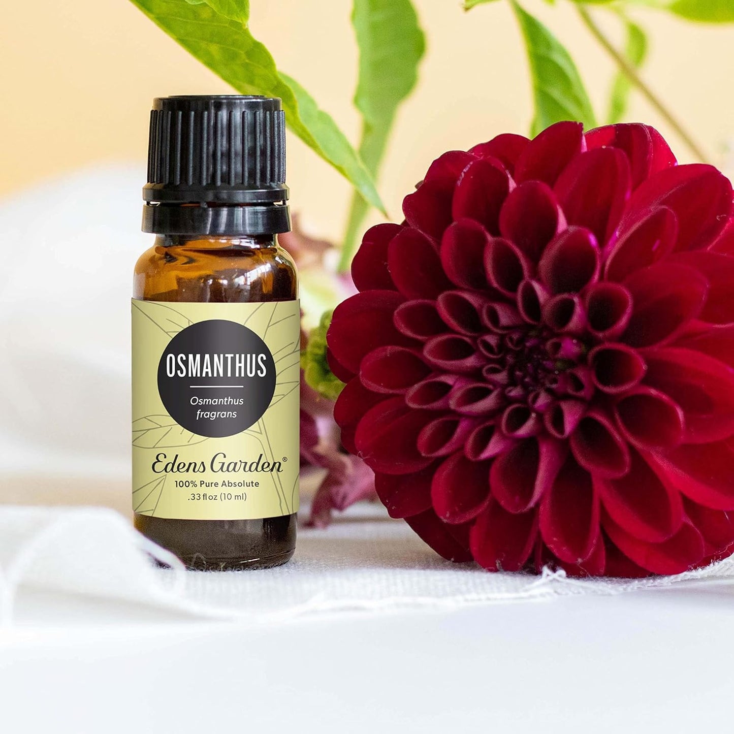 Edens Garden Osmanthus Essential Oil- 100% Pure Premium Grade, Undiluted, Natural, Therapeutic, Aromatherapy, The Best for Diffuser, Skin, Face, Hair 10 ml (.33 fl oz)