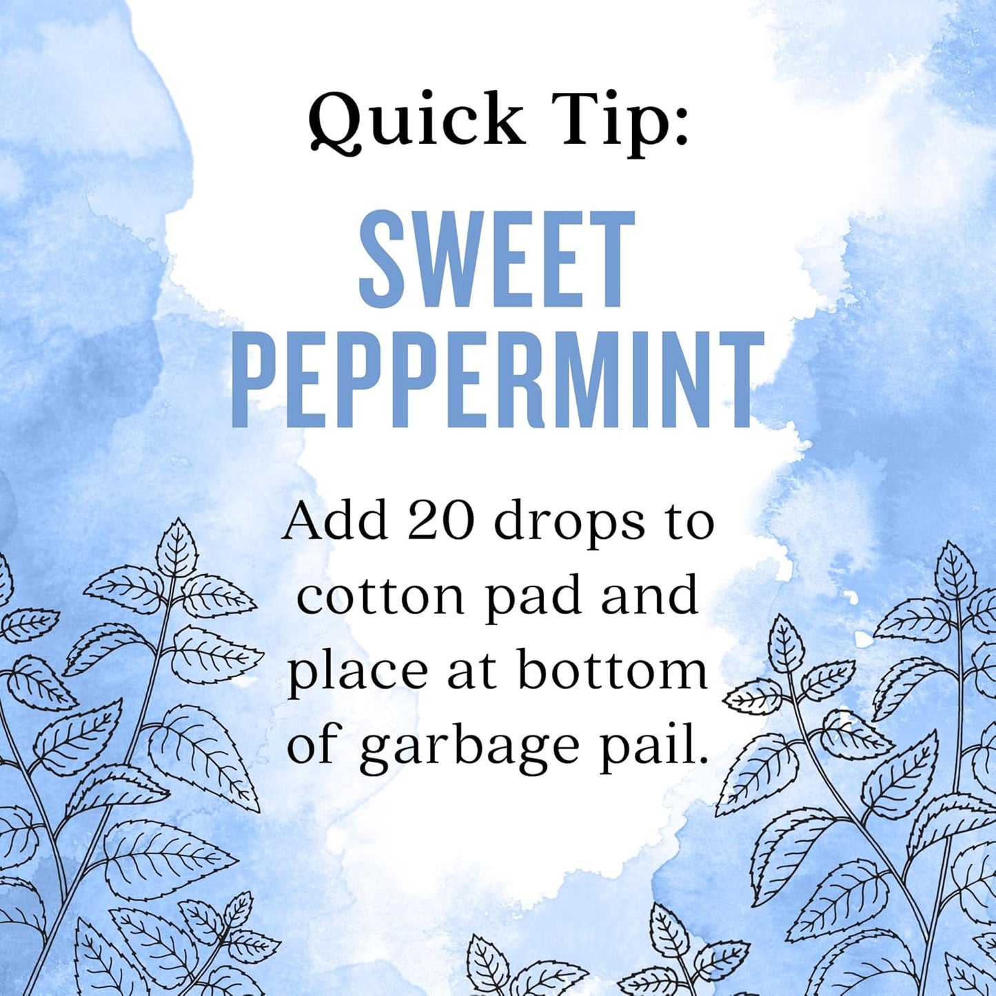 Aura Cacia Sweet Peppermint Essential Oil 2 fl. oz.