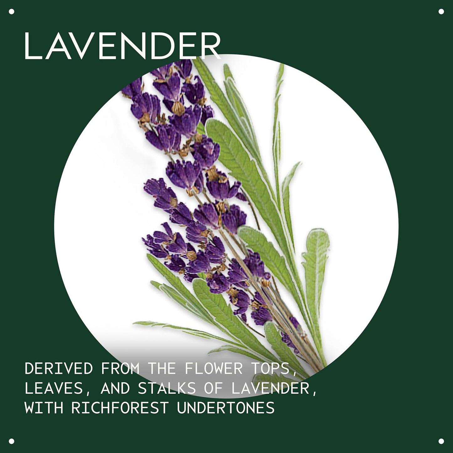 Aveda Lavender Essential Oil + Base | Calming Aroma | For Body & Bath, 1 Fl Oz