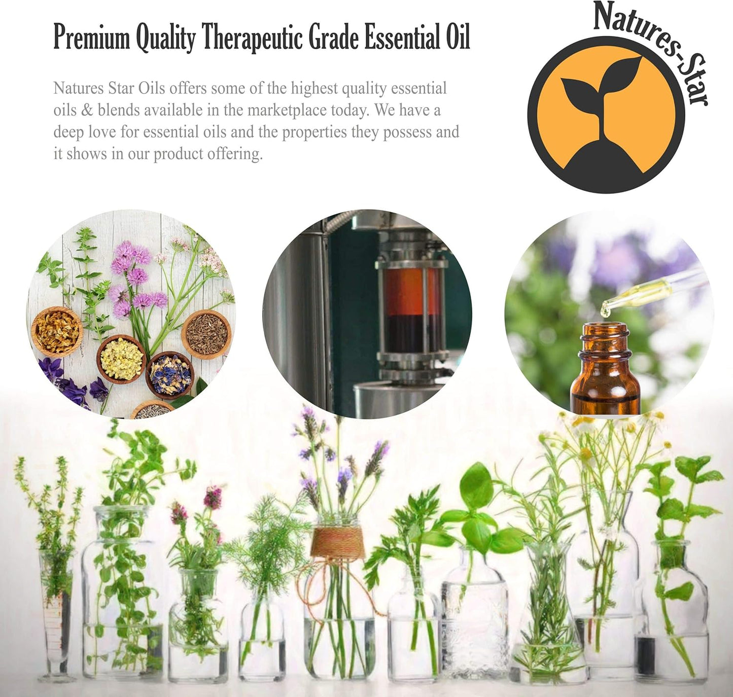Natures-Star Pure Lavender Essential Oil Therapeutic Grade for Relaxation & Aromatherapy (4 Pack)