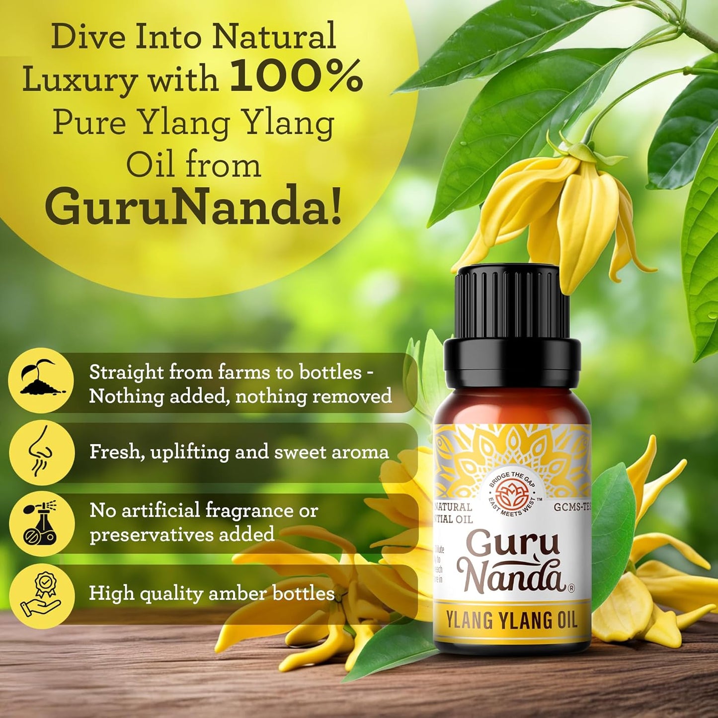 GuruNanda Ylang Ylang Essential Oil (10ml Each) - 100% Pure, Natural and Undiluted Diffuser Oil for Aromatherapy, Massages & DIY Recipes - 2 Pack