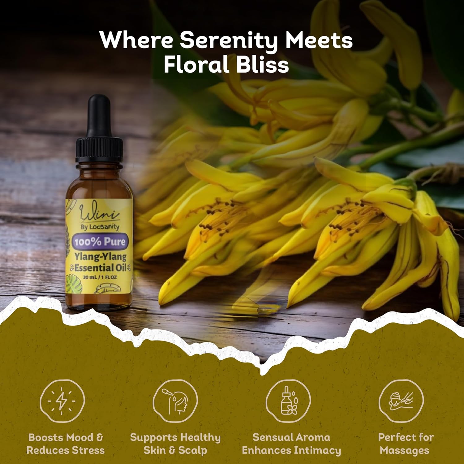 WINI by Locsanity Ylang-Ylang Essential Oil with Glass Dropper | 100% Pure & Natural Ylang-Ylang Diffuser Oil | Premium Grade Essential Oils for Skin Care, Aromatherapy, Hair & Scalp, Massage | 30ml