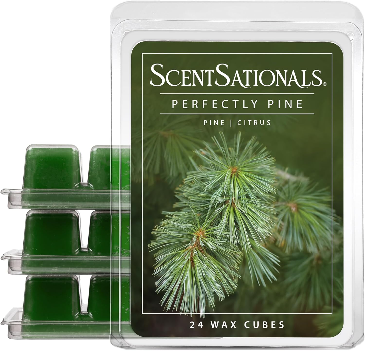 ScentSationals Perfectly Pine Scented Wax Melts - Pine Tree & Citrus, 10oz (24 Cubes)
