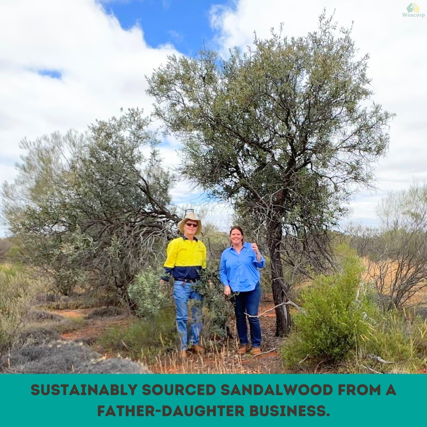Handmade Australian Sandalwood Incense Sticks | 100% Organic | NO Synthetic Fragrance Oil | NO Perfume | NO Dye