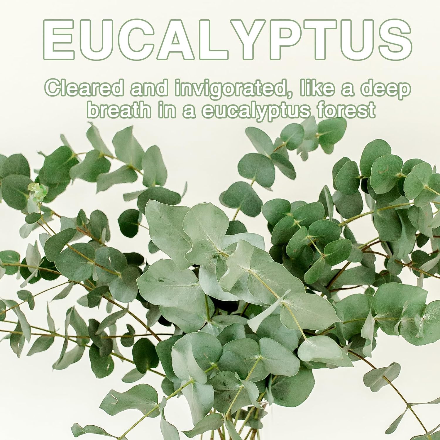 15 Packs Eucalyptus Scented Sachets Bag for Drawers and Closets, Home Fragrance Sachet, Long-Lasting Hanging Closet Deodorizer Smell Goods for House