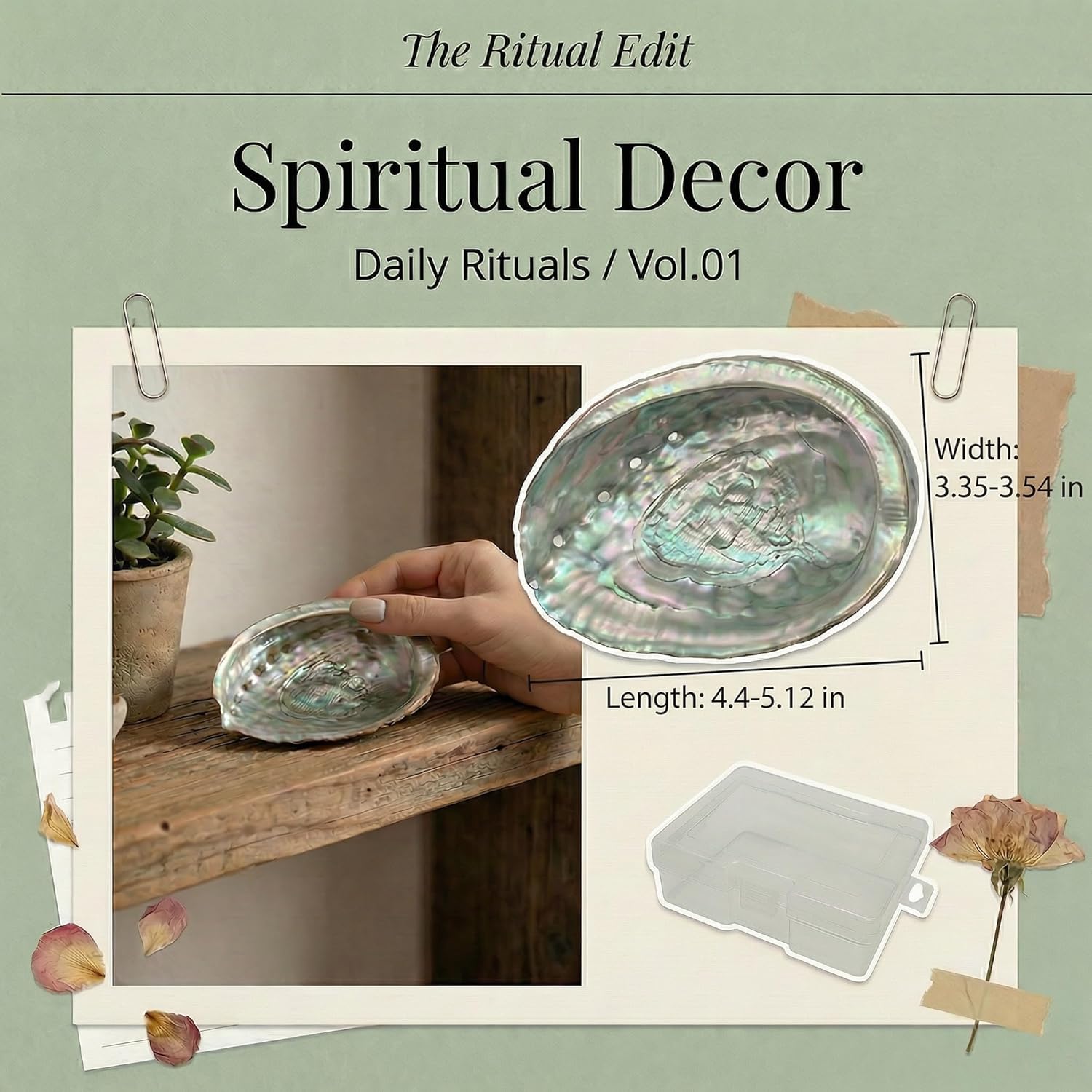 BRBASAP Large Abalone Shell Bowl with a Clear Box 4.7-5.12 Inch Natural Smudge Bowl for Sage Burning and Incense Sea Shell Smudging Bowl for Decor and Display