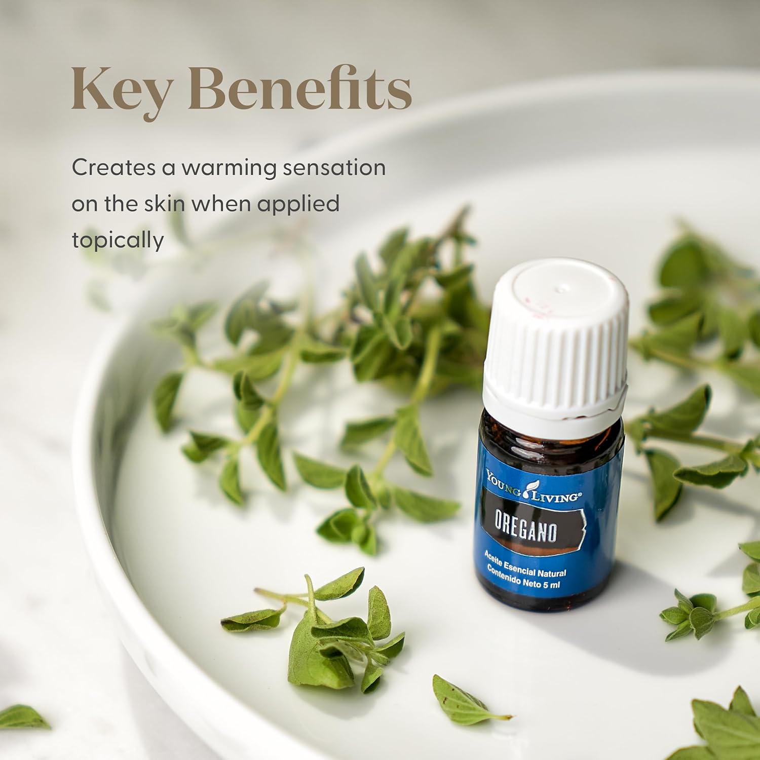 Young Living Oregano Essential Oil | 5 ml | Bold Herbal Aroma for Diffuser, Massage & Aromatherapy | Single Essential Oil with Warm, Spicy Herb Fragrance