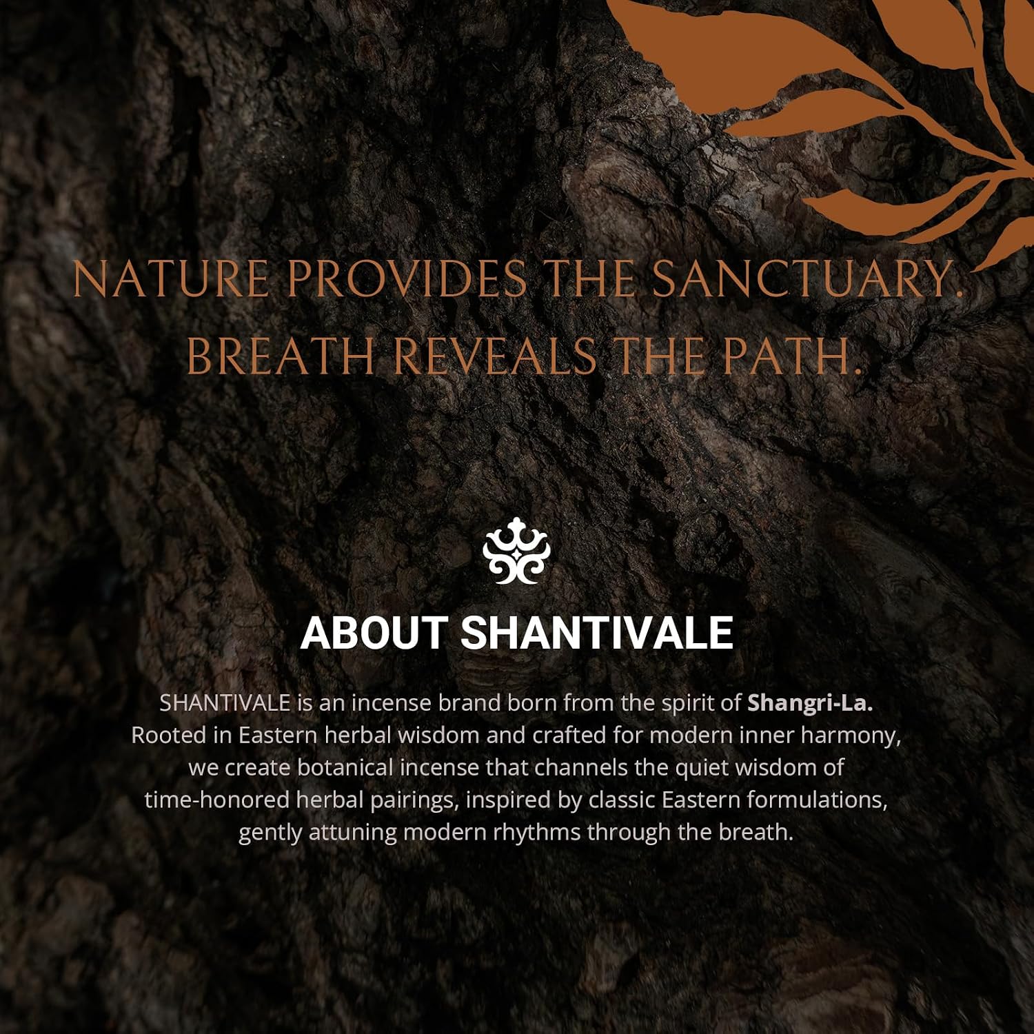 100% Natural Incense Sticks with Holder, Rare Cliff Cypress Incense from Shangri-La for Inner Harmony & Balance Support, 40-Minute Burn, Low Smoke, Non-Toxic, Gifts for Women