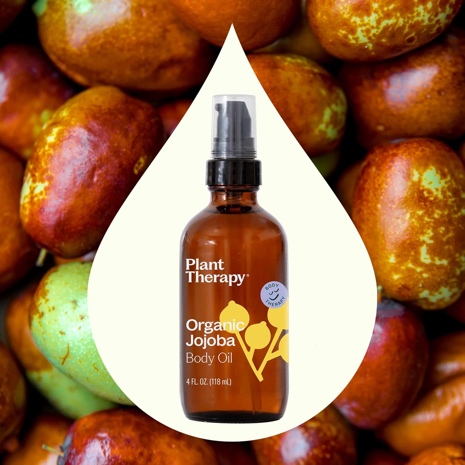 Plant Therapy Organic Jojoba Body Oil 4 fl. oz (118 mL) 100% Pure, Cold-Pressed, Natural, GMO-Free Jojoba Oil for Skin, Hair, Nails & Essential Oils