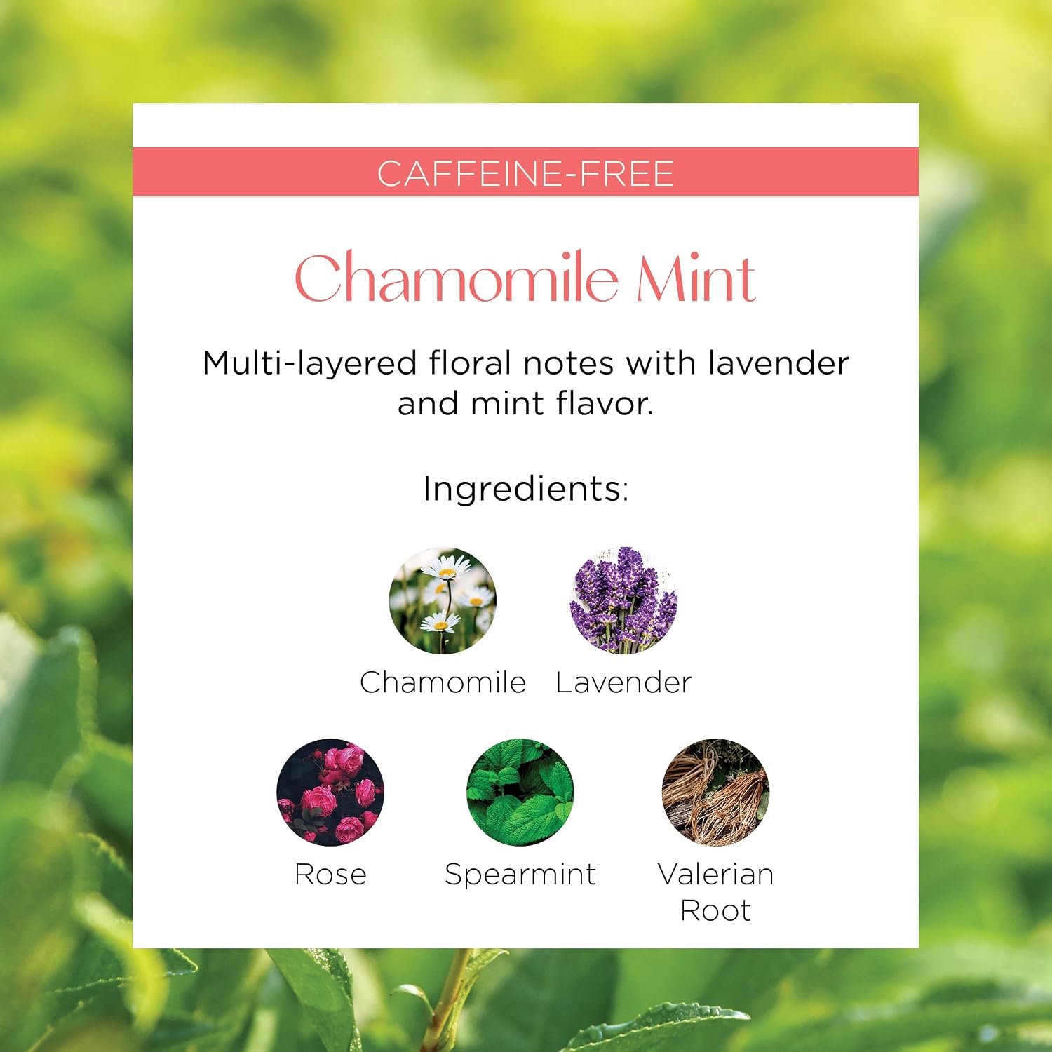 Brook37 Chamomile Mint Herbal Tea - Caffeine Free, Herbal Wellness Tea with Chamomile, Lavender, Rose and Spearmint - Plant-Based Pyramid Sachets, Floral Mint Blend, Gourmet Gift for Tea Lovers
