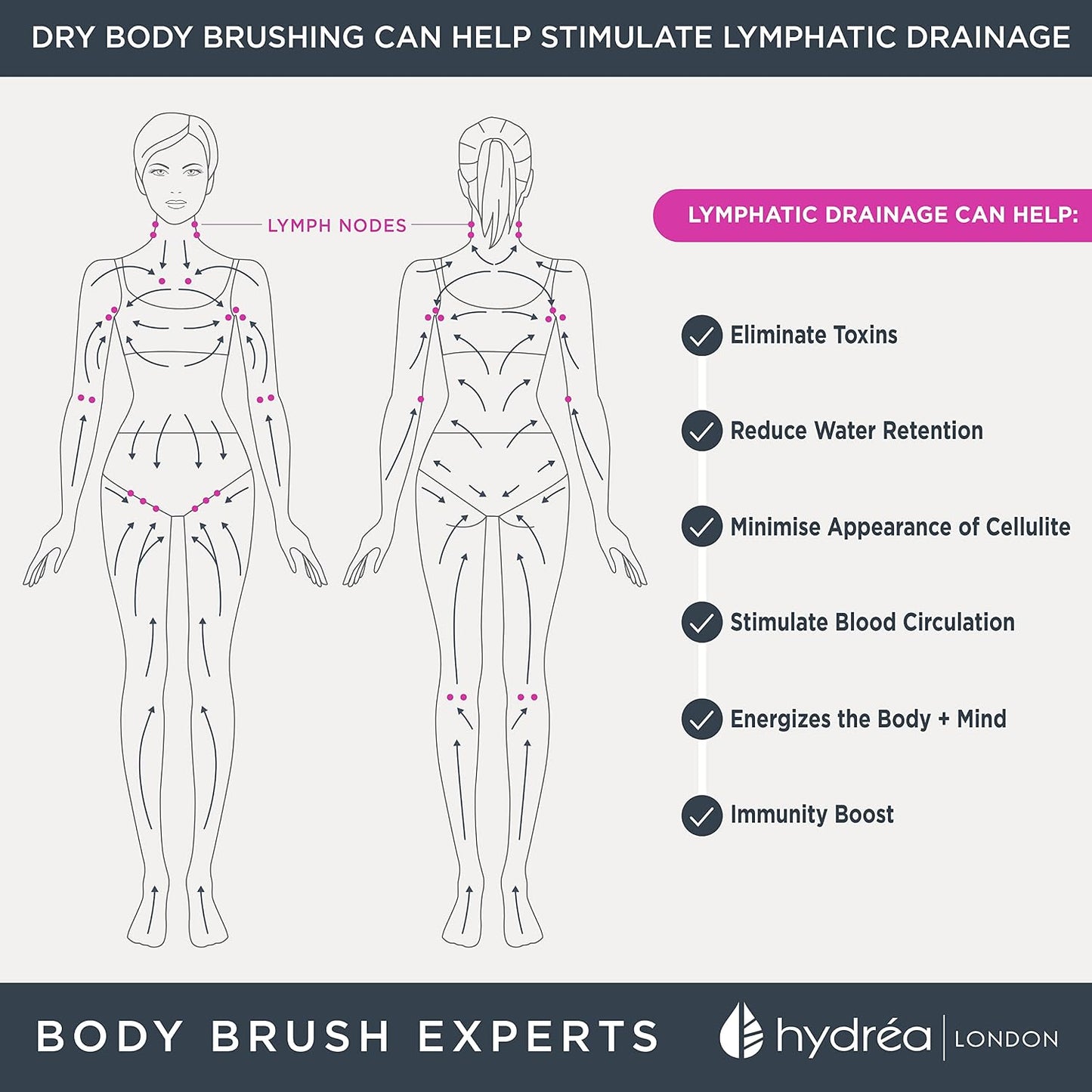 Hydrea London Dry Body Brush Long Handled Exfoliating Skin Brush with Vegan Cactus Bristle, Dry Brush Cellulite Remover, Exfoliating Body Scrubber, Improve Lymphatic Drainage FSC® Certified Beechwood.