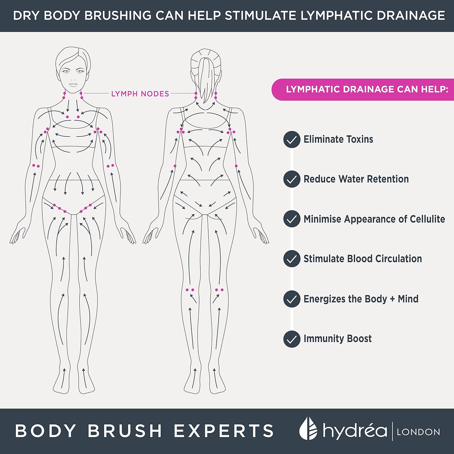 Hydrea London Dry Body Brush Long Handled Exfoliating Skin Brush with Vegan Cactus Bristle, Dry Brush Cellulite Remover, Exfoliating Body Scrubber, Improve Lymphatic Drainage FSC® Certified Beechwood.