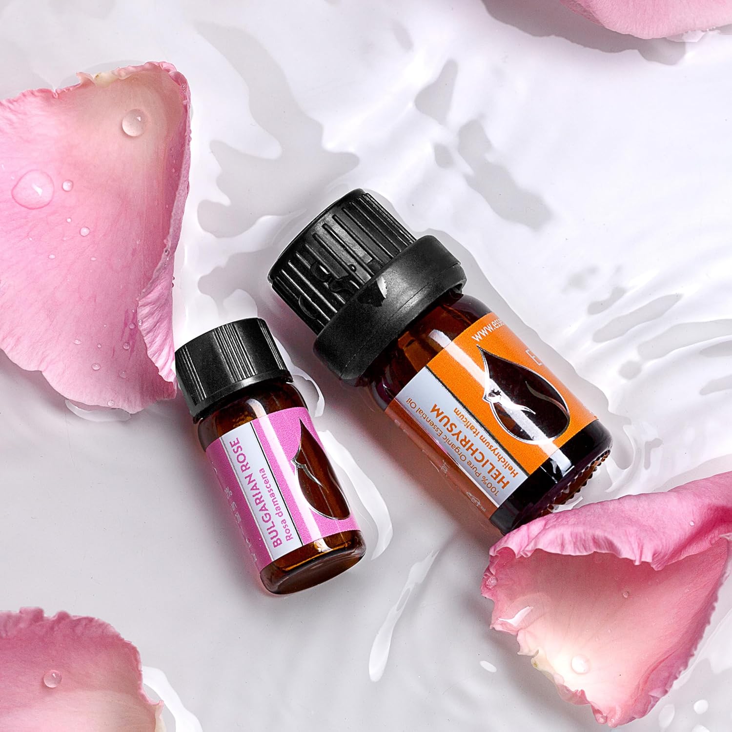 Essences Bulgaria Organic Helichrysum Essential Oil 1/3 Fl Oz | 10ml | Helichrysum italicum | 100% Pure and Natural | Undiluted | Therapeutic Grade | Family Owned Farm | Steam-Distilled | Non-GMO