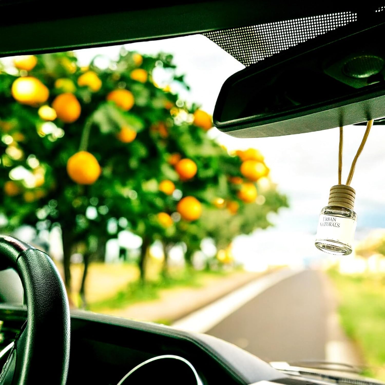 Urban Naturals Car Air Freshener Diffuser 1 Pack - Citrus Bliss Scent, 45+ Days Long Lasting Fragrance, Made in USA, Glass & Wood, Hanging Design + Vent Cip, Easy to Use