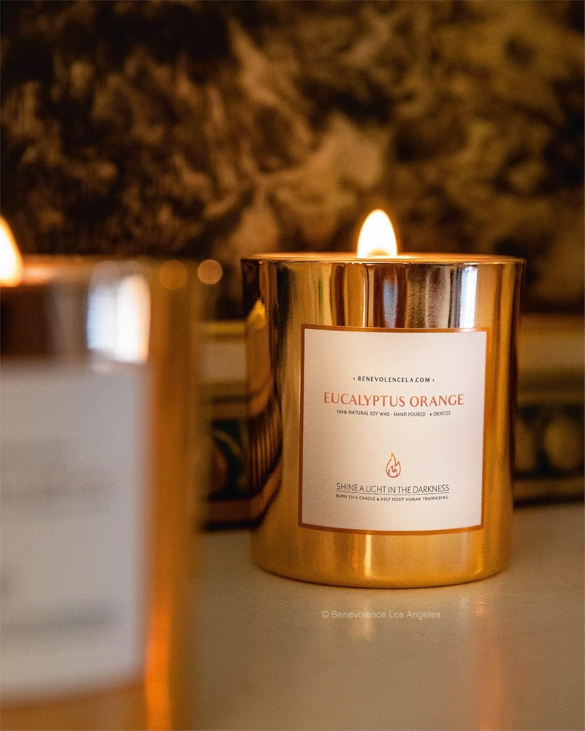 Benevolence LA Premium Eucalyptus Orange Scented Candle – Long-Lasting, 45-Hour Burn – Luxury Natural Soy Wood Wick Candle for Home – Aromatherapy & Room Decor – 8oz