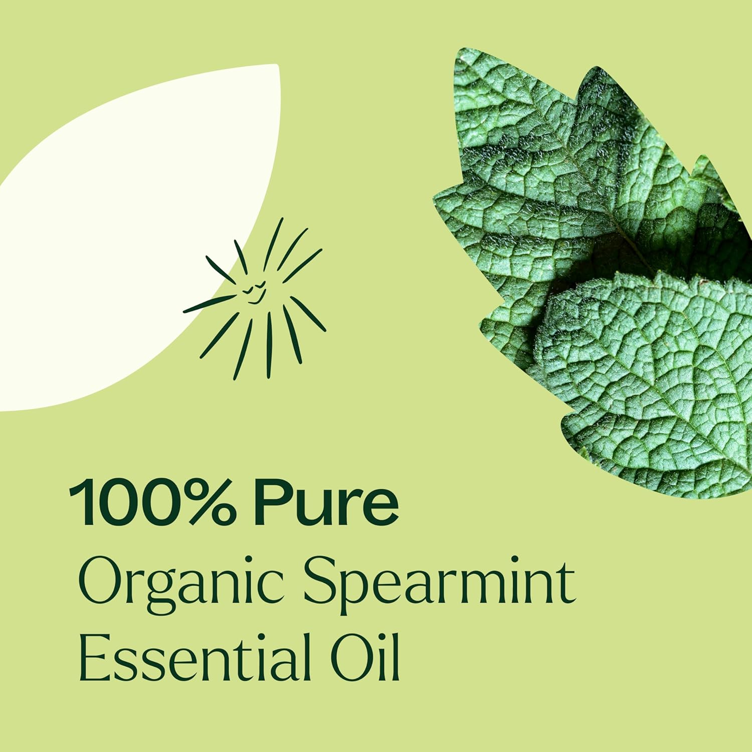 Plant Therapy USDA Certified Organic Spearmint Essential Oil 10 mL (1/3 oz) 100% Pure, Undiluted, Digestive Health, Fresh Scent
