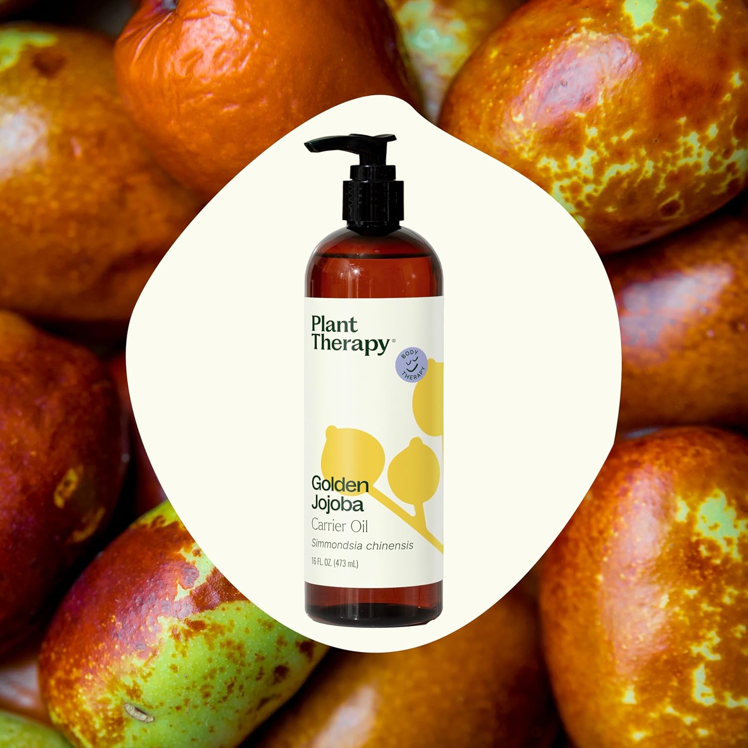 Plant Therapy Jojoba Golden Carrier Oil 16 oz 100% Pure, Cold-Pressed, Natural and GMO-Free Moisturizer and Carrier Oil for Essential Oils
