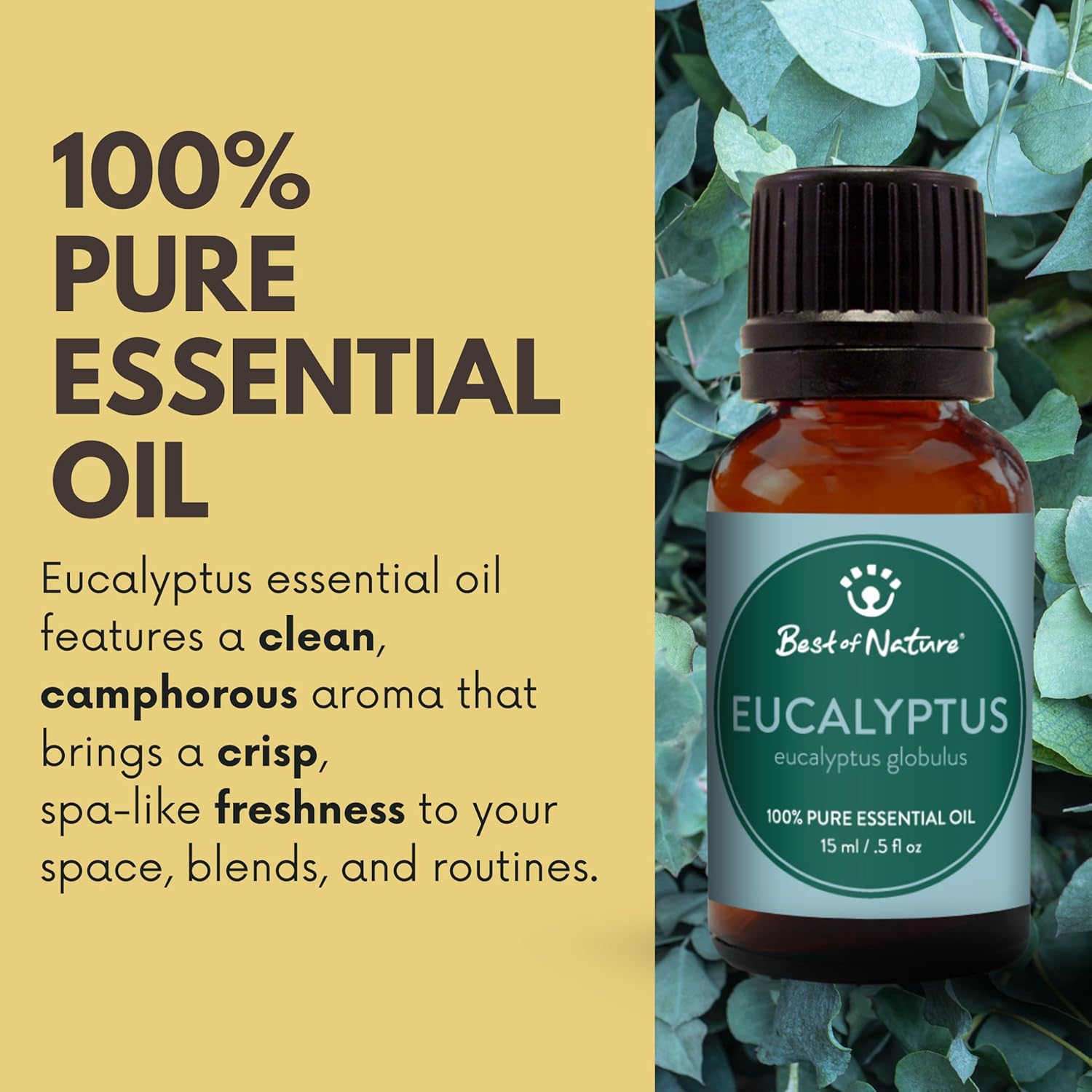 Eucalyptus Essential Oil for Diffuser Aromatherapy – Best of Nature 100% Pure Undiluted Oils for DIY, Home Fragrance, and Topical Use