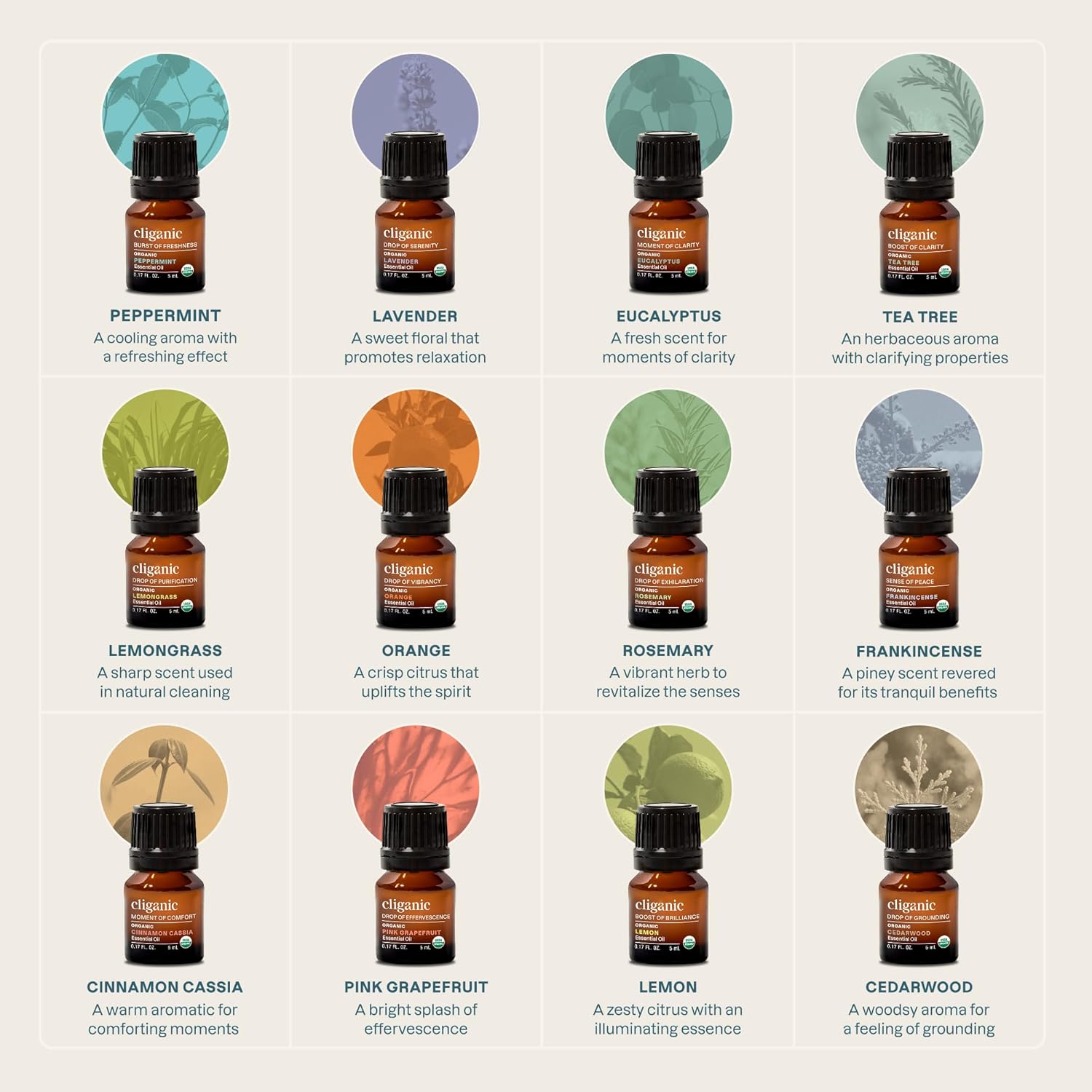 Cliganic Organic Aromatherapy TOP 12 Essential Oils Set, 100% Pure - Peppermint, Lavender, Eucalyptus, Tea Tree, Lemongrass, Rosemary, Frankincense, Orange, Lemon, Cassia, Cedarwood & Grapefruit