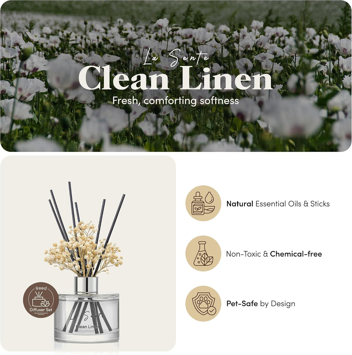 Reed Diffuser Set