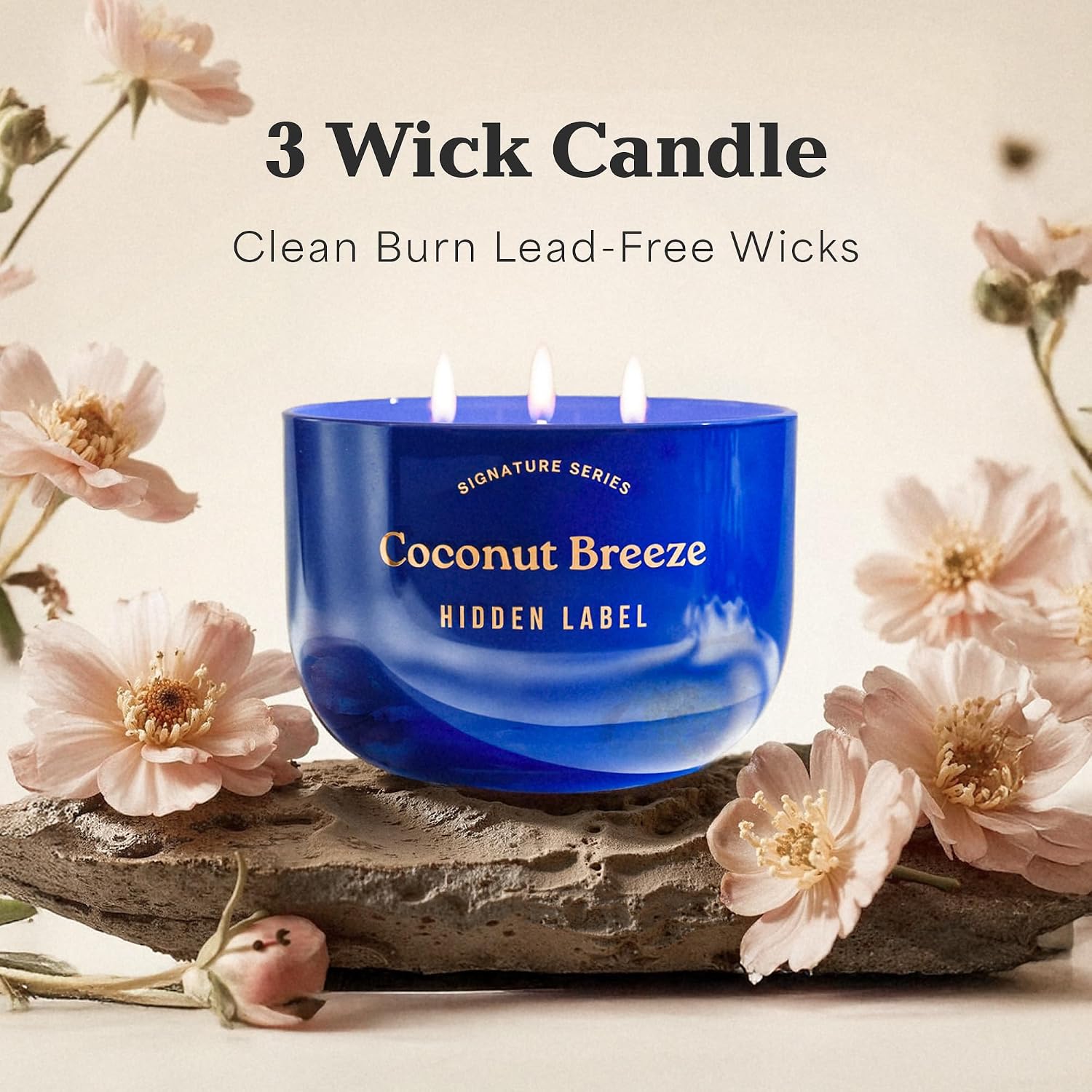 Coconut Breeze Scented Candle, 18oz Natural Soy Wax Non Toxic, 3-Wick Large Candles for Home, Up to 75Hours Long Lasting,Clean Burn Aromatherapy Candle for Home Decor and Housewarming Gifts