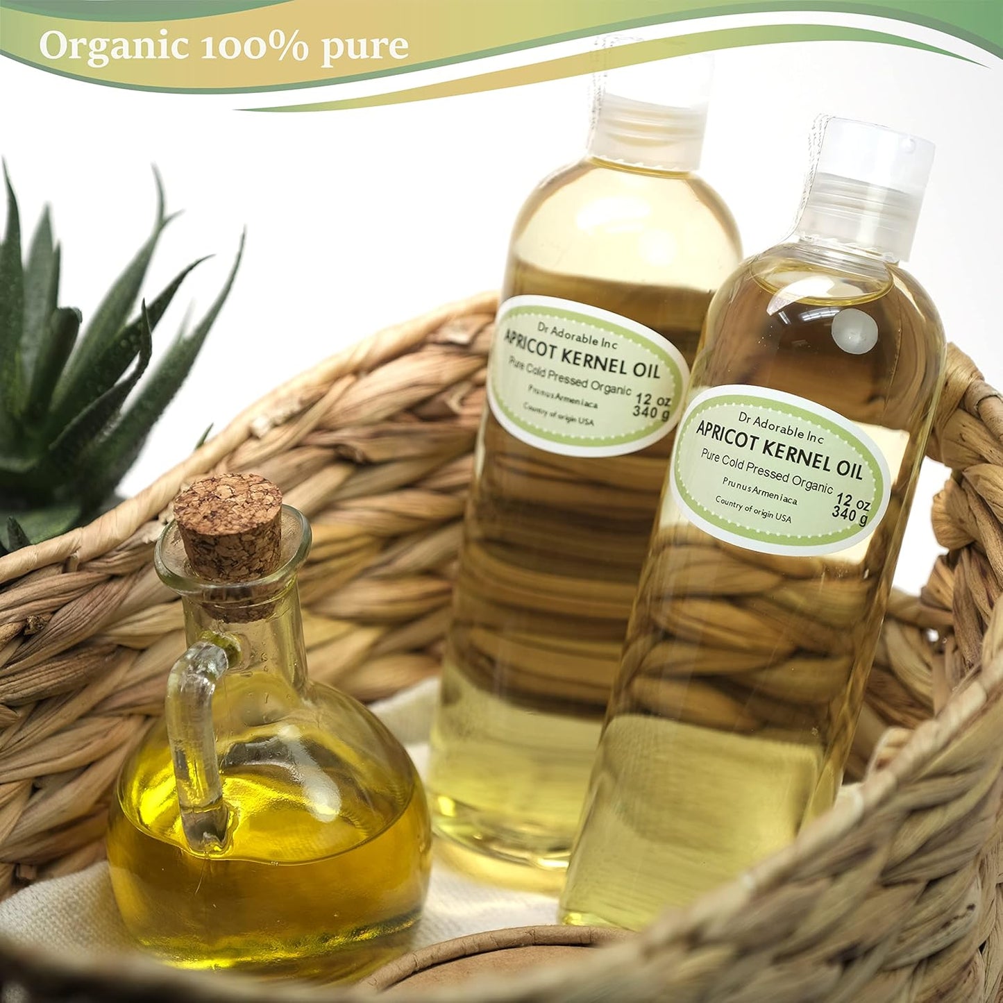 Dr Adorable - 24 Oz - Apricot Kernel Oil - 100% Pure Natural Organic Cold Pressed (2 of 12 Oz Bottles)