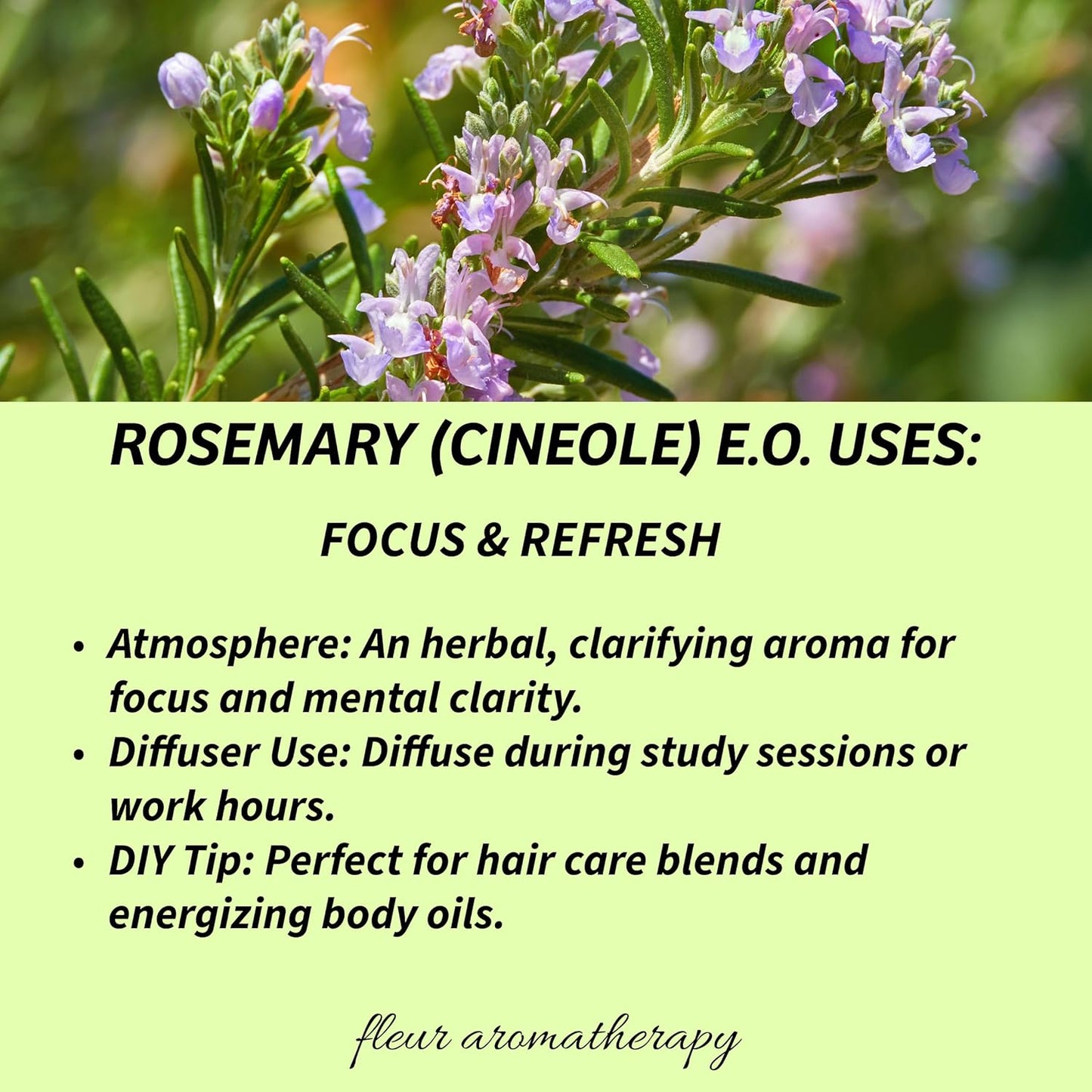 Rosemary (Cineole) Essential Oil 10ml – 100% Pure Rosmarinus officinalis – Steam Distilled – GC/MS Tested – Fresh, Herbaceous Aroma – Professional Clinical Aromatherapy Quality – Fleur Aromatherapy