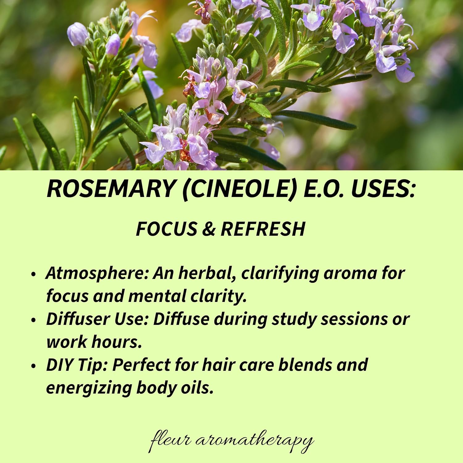 Rosemary (Cineole) Essential Oil 10ml – 100% Pure Rosmarinus officinalis – Steam Distilled – GC/MS Tested – Fresh, Herbaceous Aroma – Professional Clinical Aromatherapy Quality – Fleur Aromatherapy