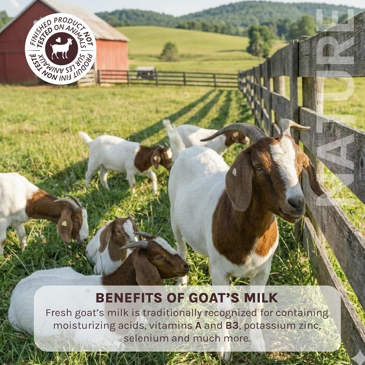 Goat Milk Foaming Bath with Shea Butter, 27.1 Fl Oz, Fresh Canadian Goat Milk with Vitamin A B3 Potassium Zinc Selenium, Nature by Canus