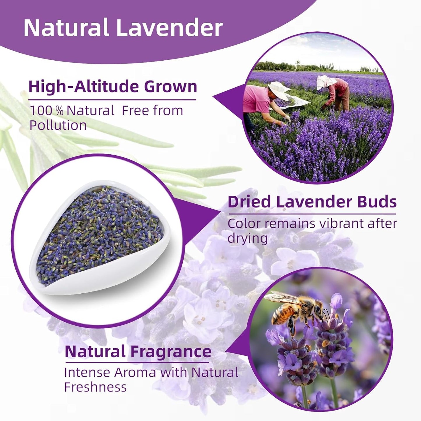 36 Pack Lavender Sachet Bags - 100% Natural Dried Lavender Buds for Closets Drawers Car & Home | French Potpourri Fragrance Sachets Rich Aroma Air Long Lasting Fresh Scents