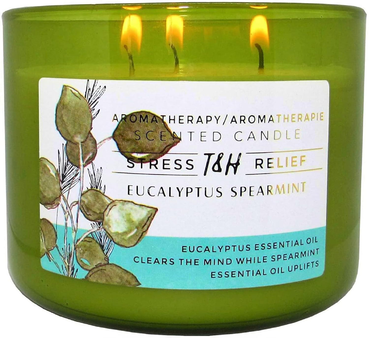 Eucalyptus Spearmint Scented Candle