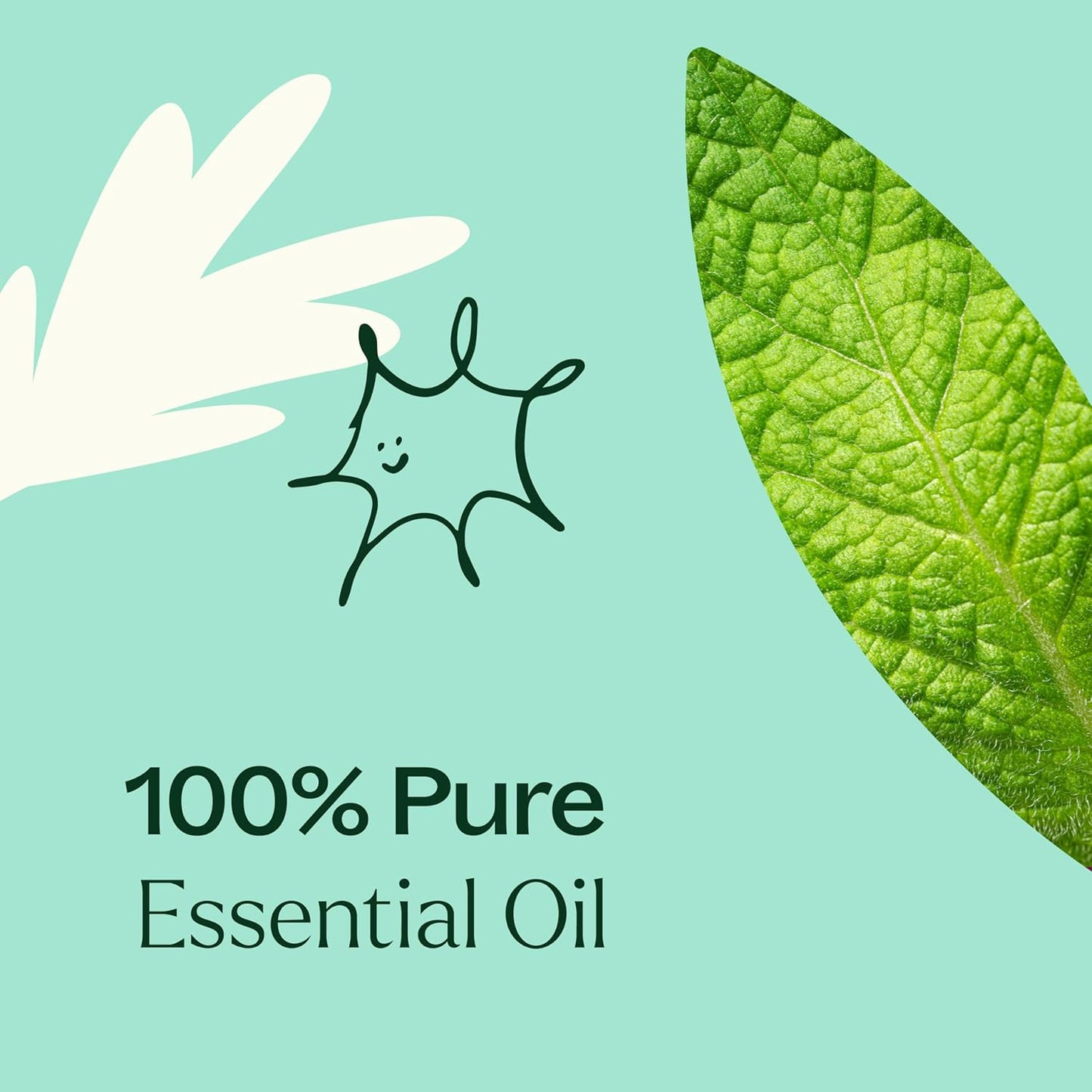 Plant Therapy Tension Relief Essential Oil Blend 10 mL (1/3 oz) 100% Pure, Undiluted, Headache Relief