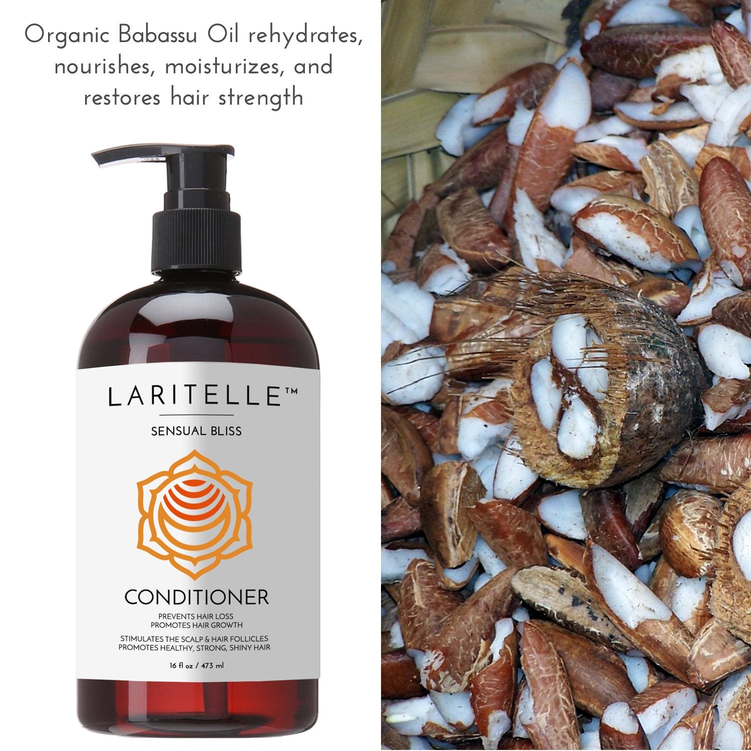 Laritelle Organic Conditioner Sensual Bliss 16 oz | Argan Oil, Babassu, Apricot Kernel & Keratin | Deep Hydration, Anti-Thinning, Sulfate-Free, Vegan