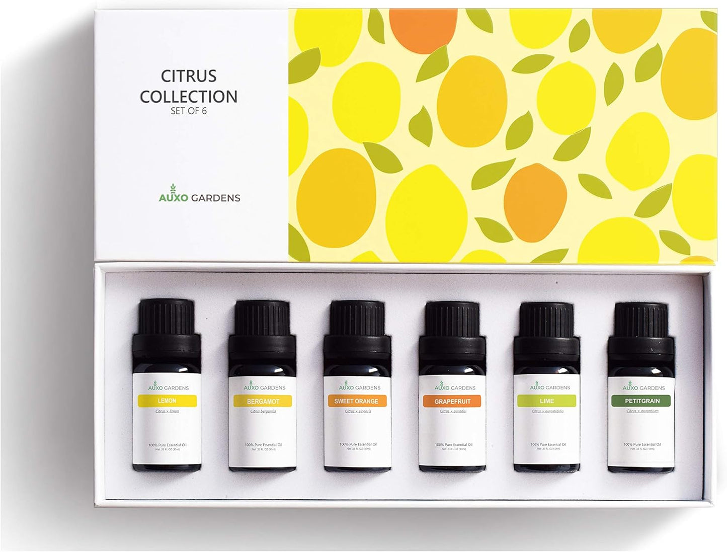 Citrus Essential Oil Set - Pack of 6, 10ml, Pure Therapeutic Grade Fruity Essential Oils includes Lemon, Grapefruit, Sweet Orange, Lime, Bergamot and Petitgrain