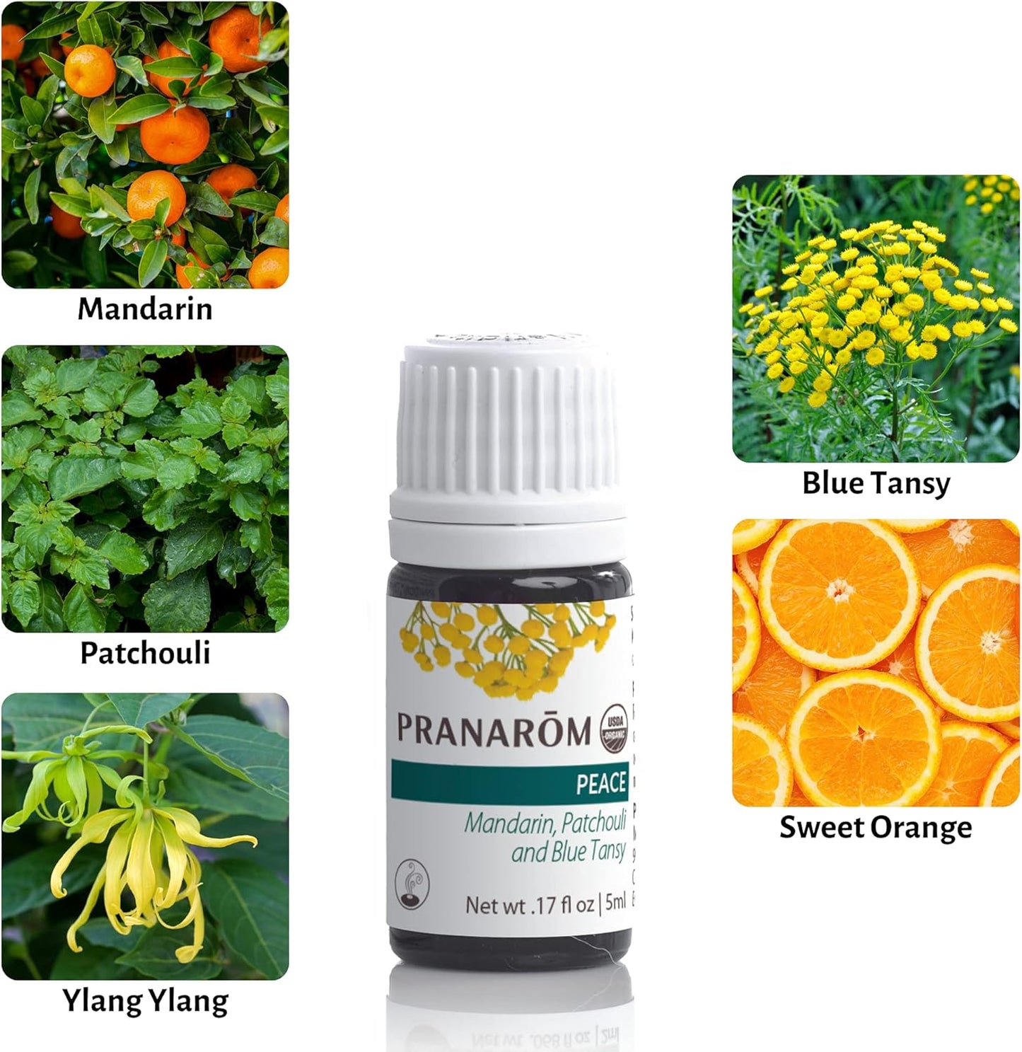 Pranarom - Peace Essential Oil Blend (5ml) - Lavender, Rosemary, Clary Sage, Pine, Cedarwood, Cardamom - 100% Pure Essential Oil for Calming & Soothing Clarity | USDA and ECOCERT Certified Organic