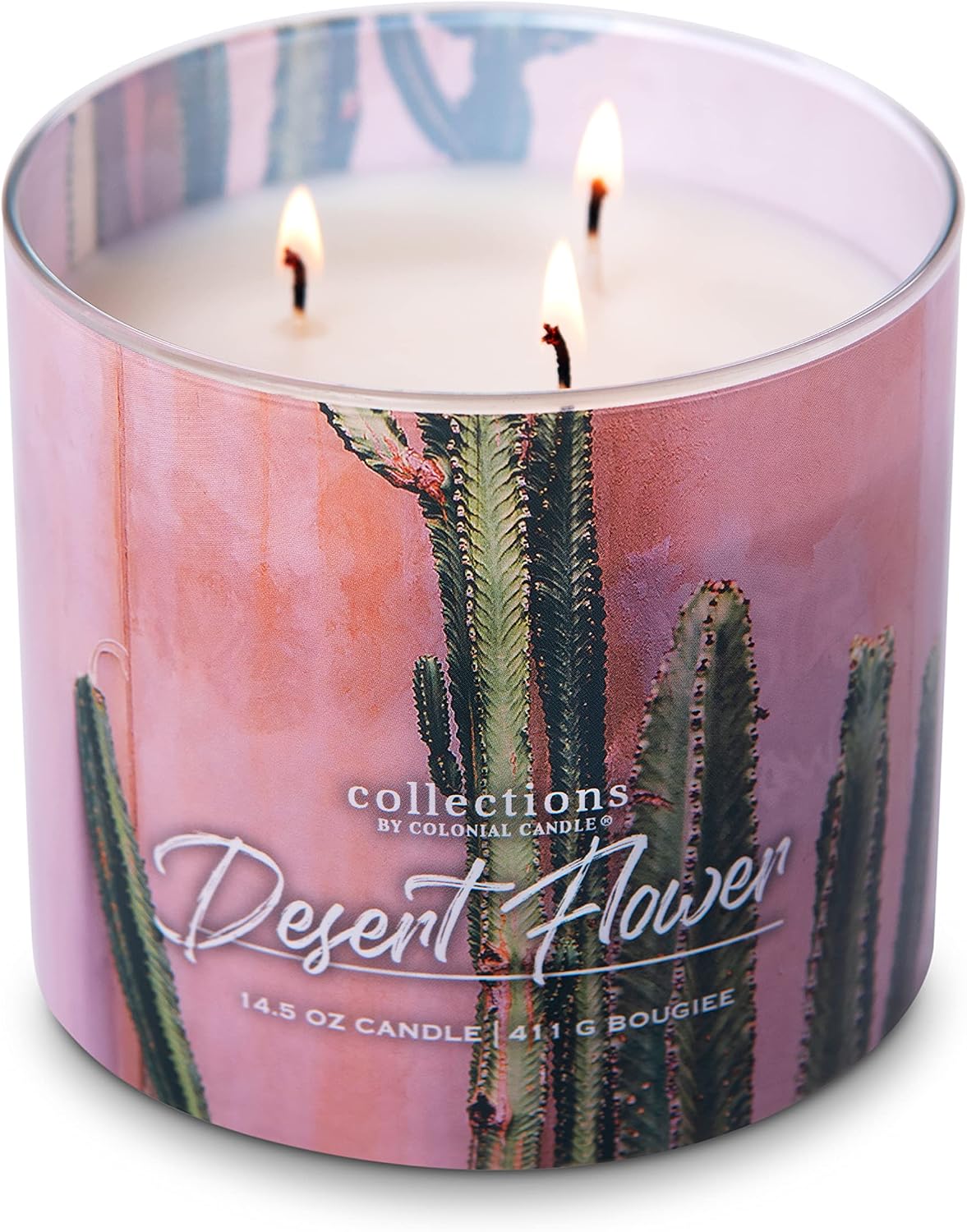 Colonial Candle Desert Flower Scented Jar Candle, Desert Collection, Ivory, 3 Wick, 14.5 oz