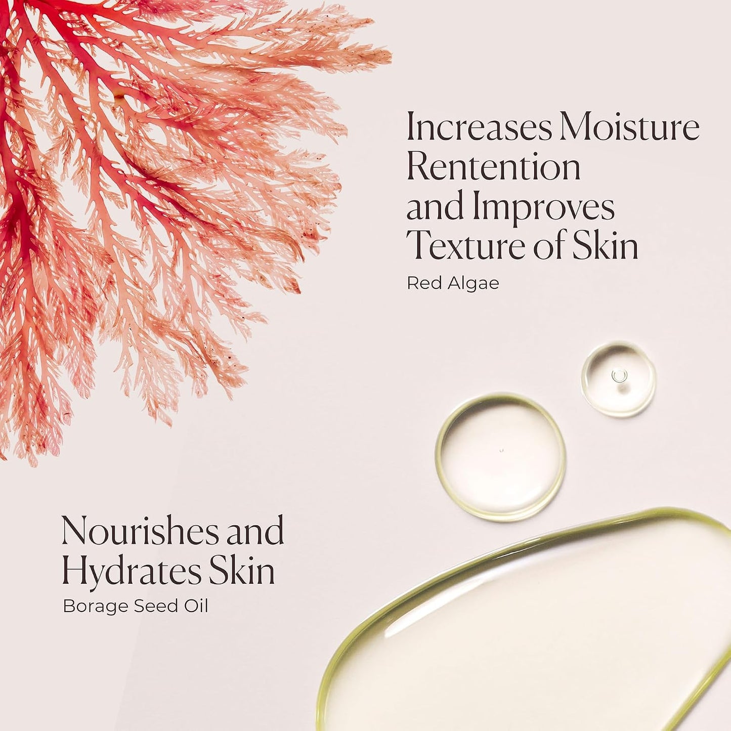 Laura Mercier Serum Body Cream, Moisturizing Serum-Infused, 48HR Hydration, Improves Skin Barrier, Soothes Dry Skin, Shea Butter and Squalane Intensely Nourishes, Bath & Body Set