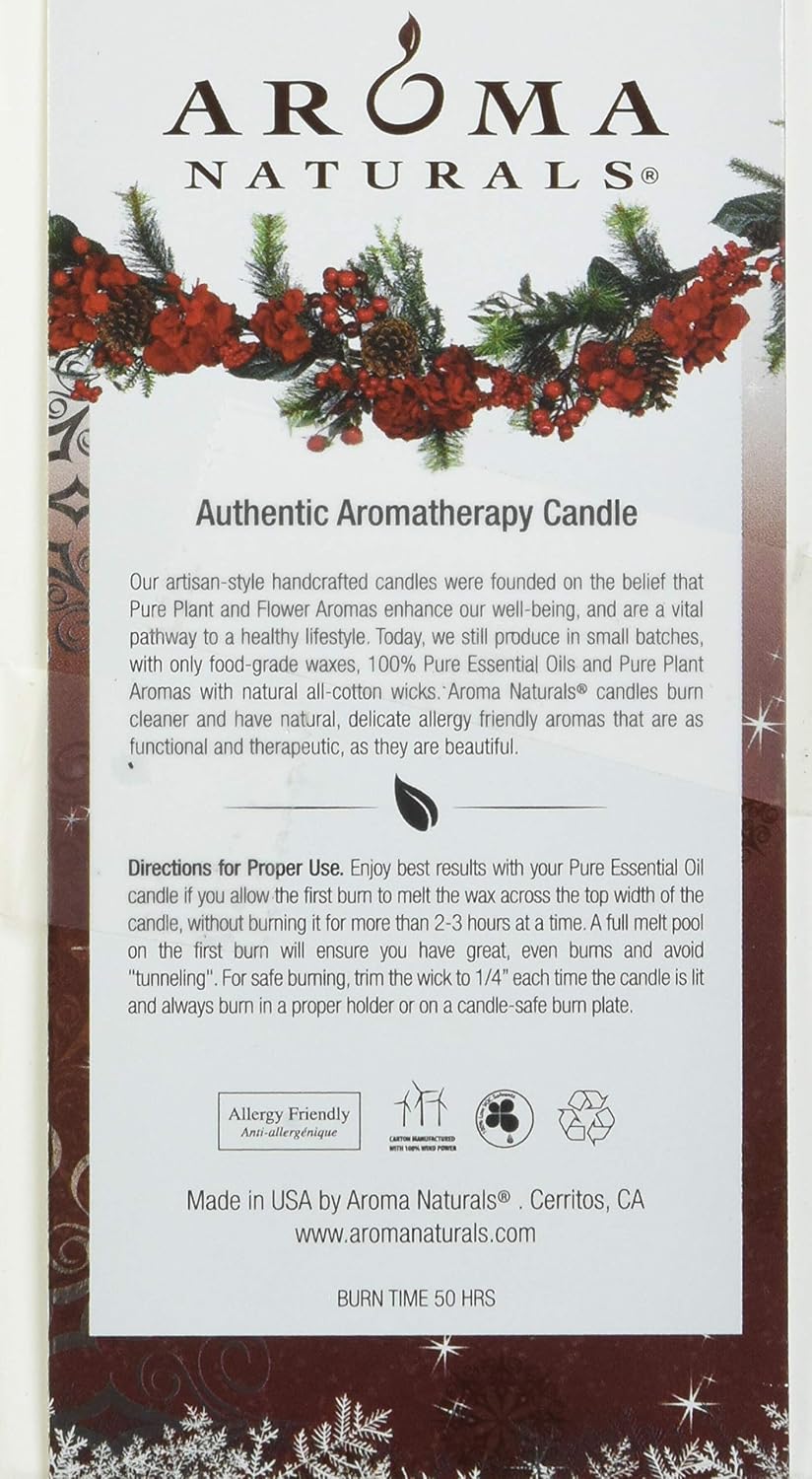 Aroma Naturals Holiday Orange, Clove and Cinnamon Essential Oil Scented Pillar Candle, Warm Spice, 2.5 inch x 4 inch