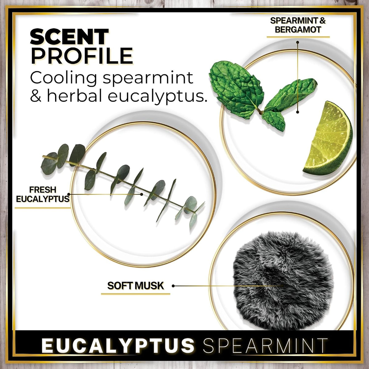 Urban Naturals Car Air Freshener Diffuser 3 Pack - Eucalyptus Spearmint Scent